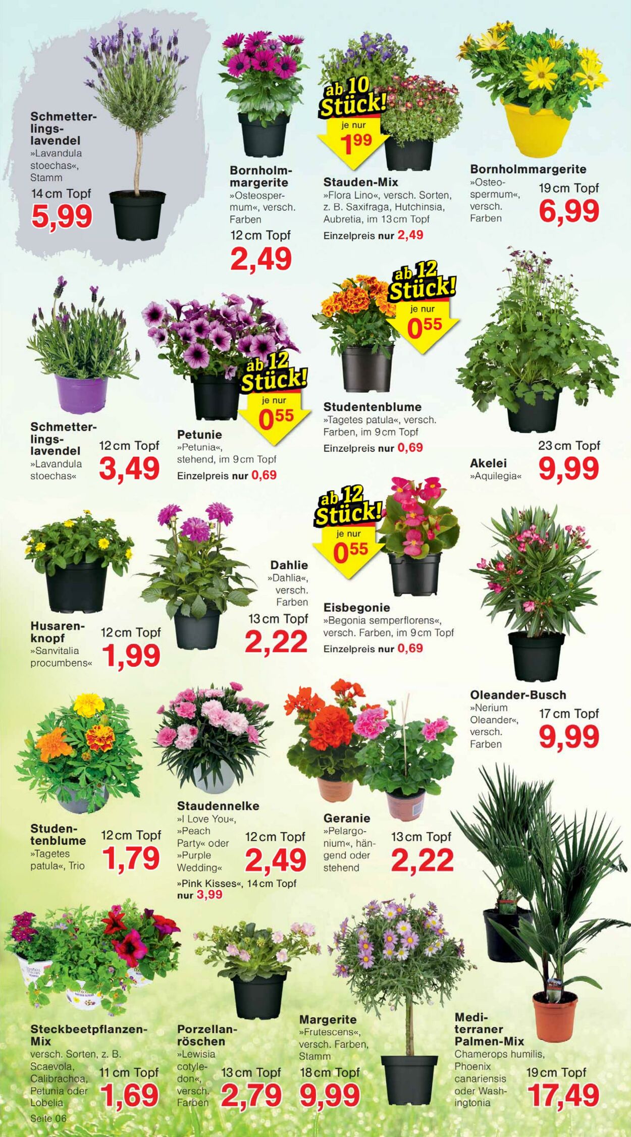 Prospekt Jawoll 20.04.2026 - 25.04.2026