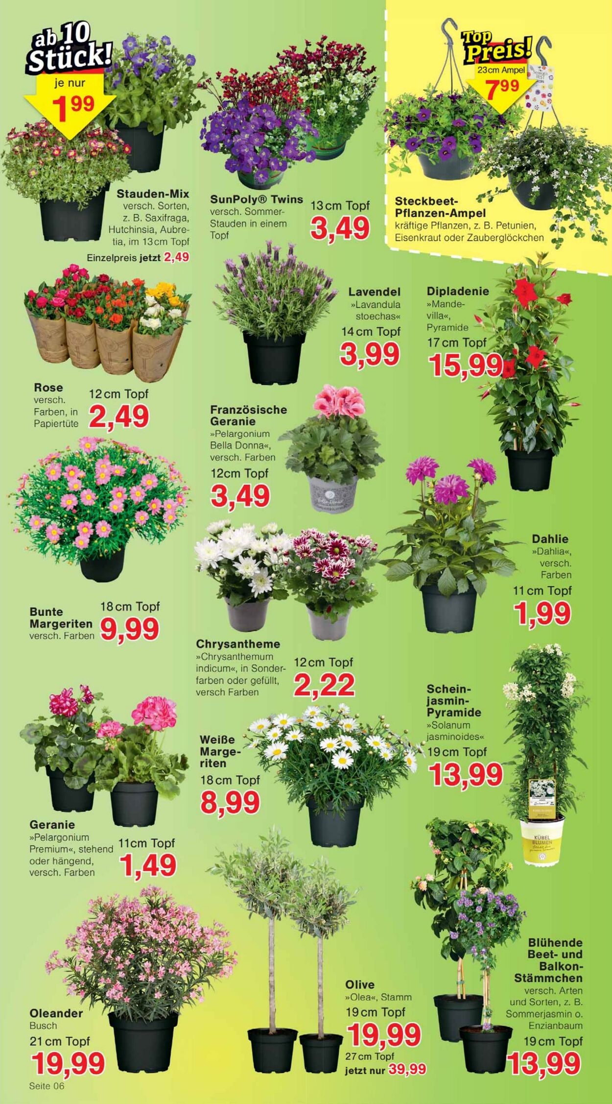 Prospekt Jawoll 06.04.2026 - 11.04.2026