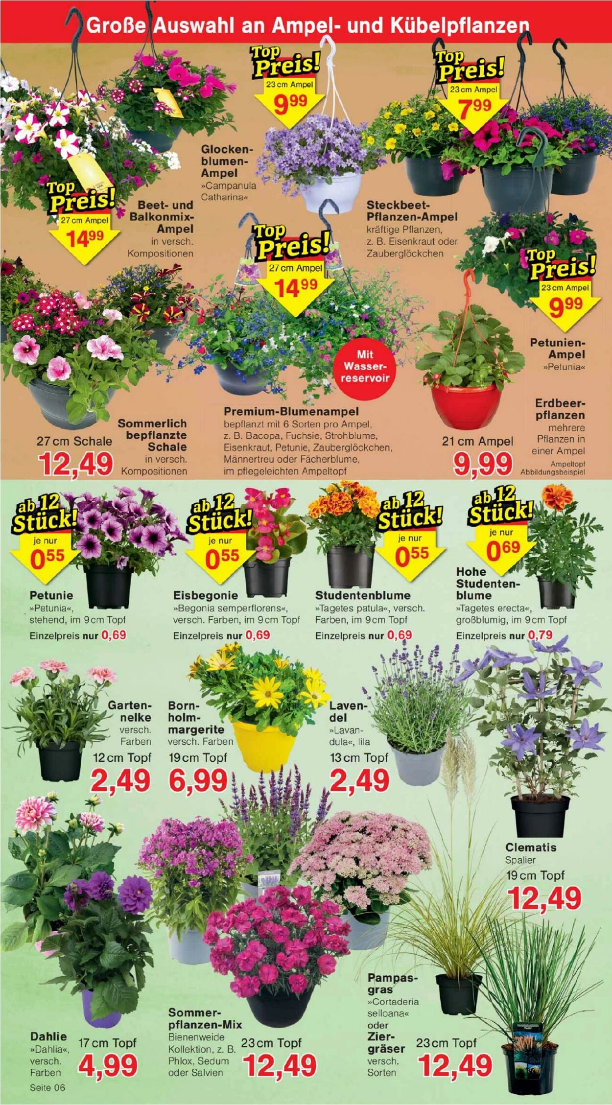 Prospekt Jawoll 04.05.2026 - 09.05.2026