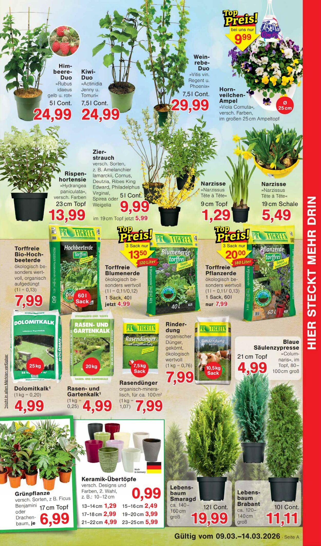 Prospekt Jawoll 02.03.2026 - 07.03.2026