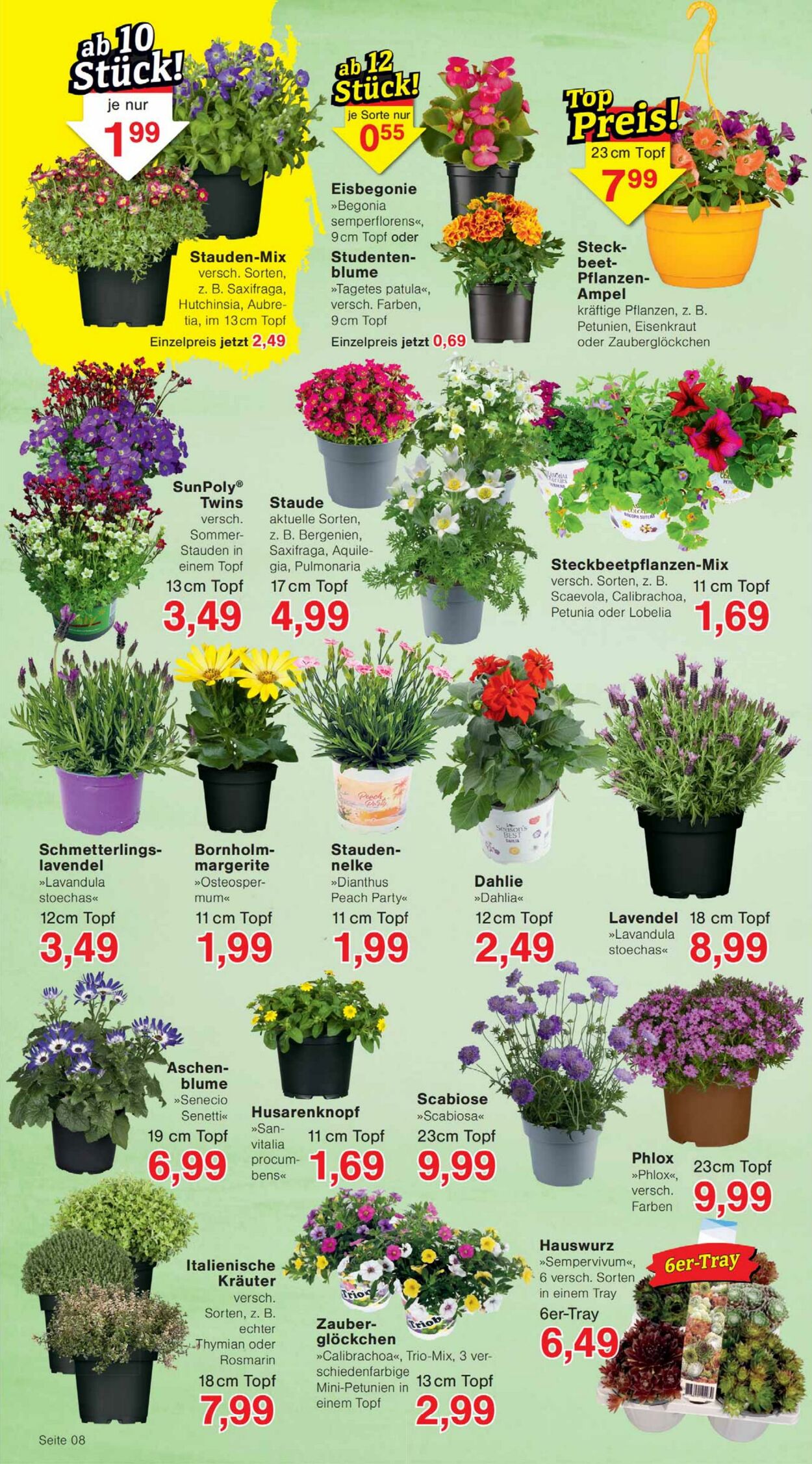 Prospekt Jawoll 30.03.2026 - 04.04.2026