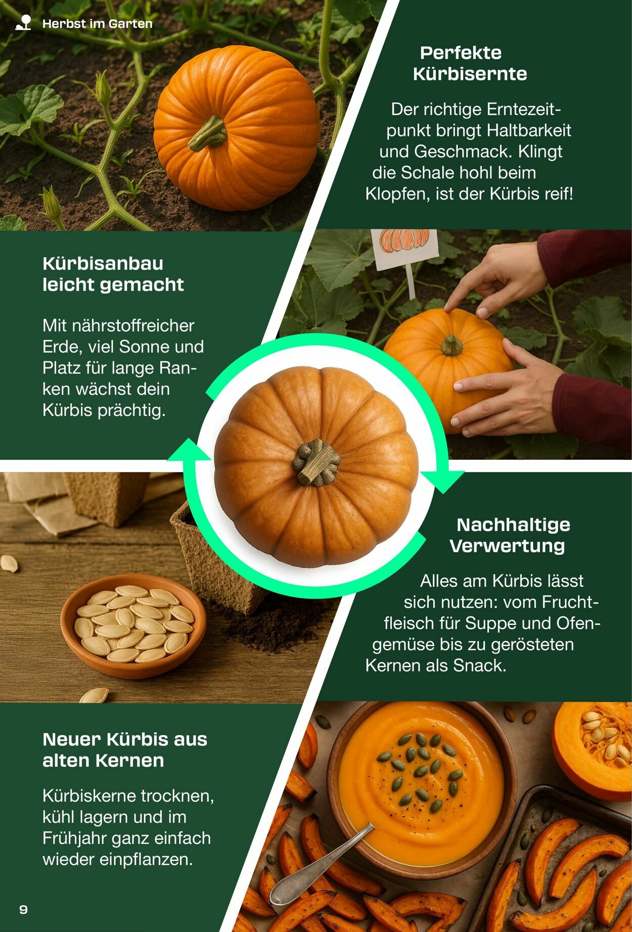 Prospekt Kaufland 01.09.2025 - 30.11.2025