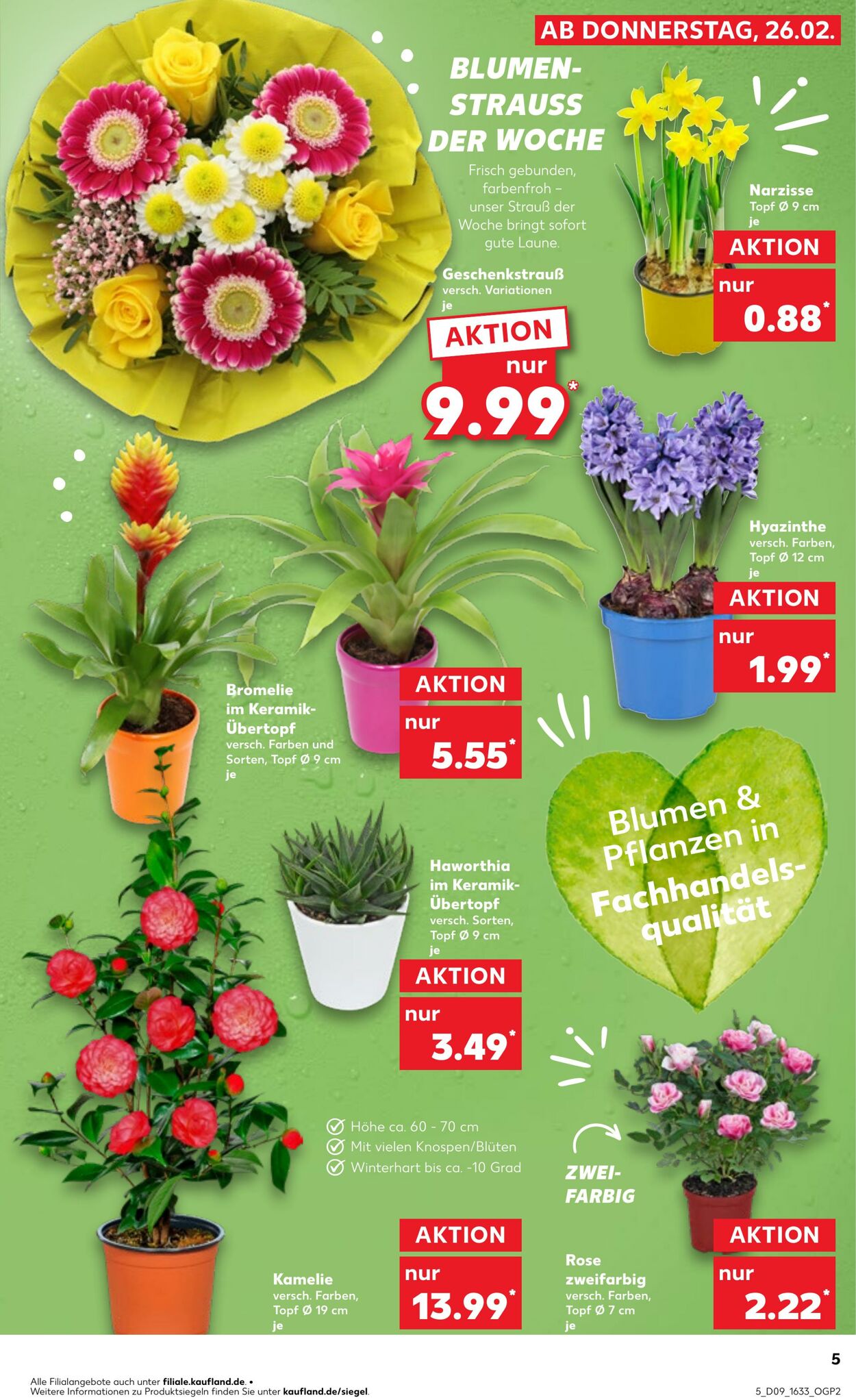 Prospekt Kaufland 26.02.2026 - 04.03.2026