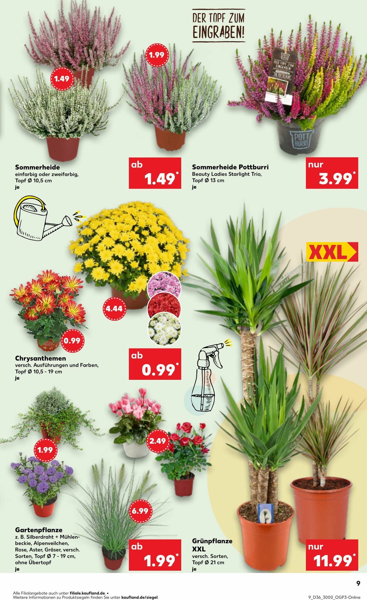 Prospekt Kaufland 07.09.2025 - 10.09.2025