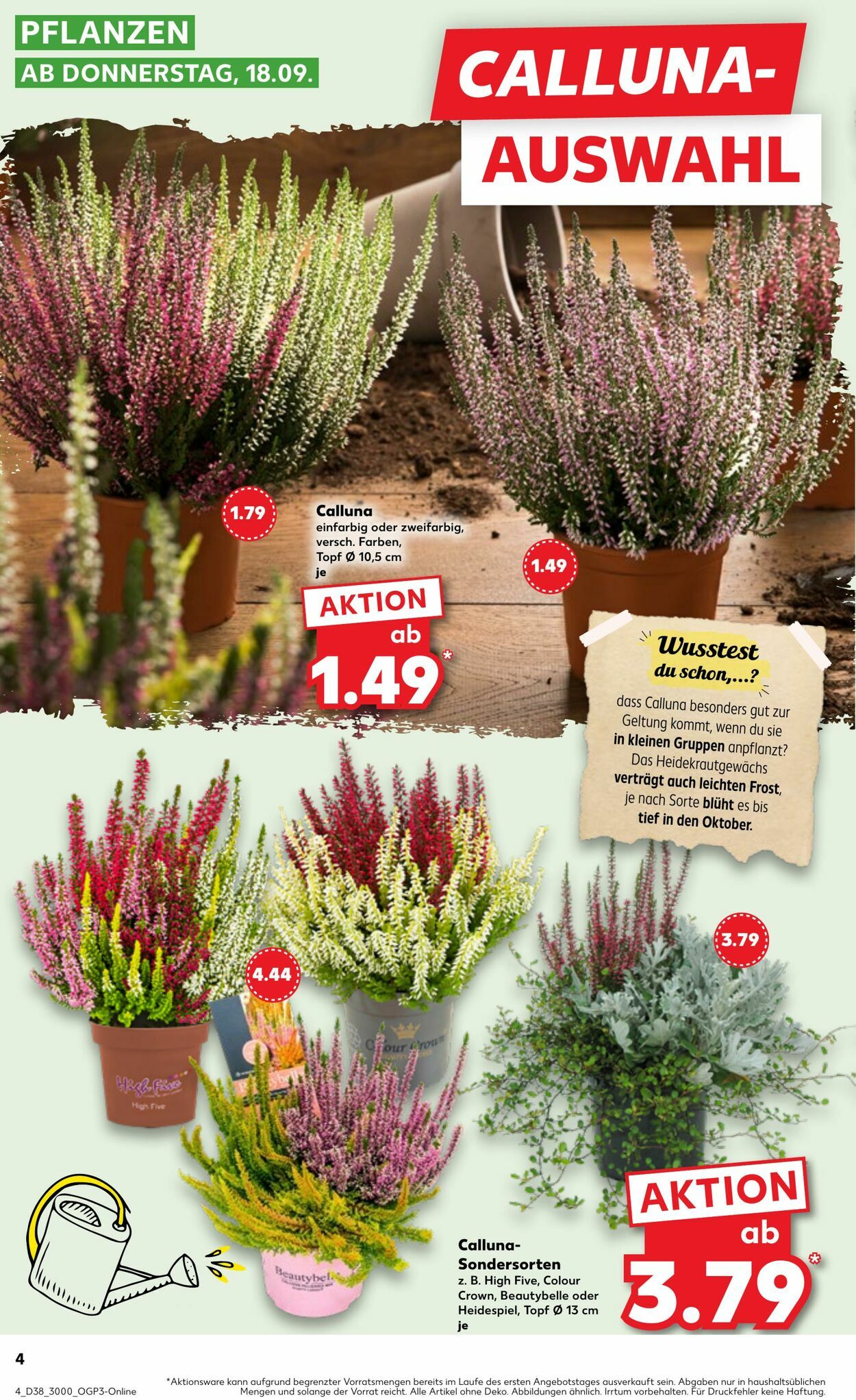 Prospekt Kaufland 18.09.2025 - 24.09.2025