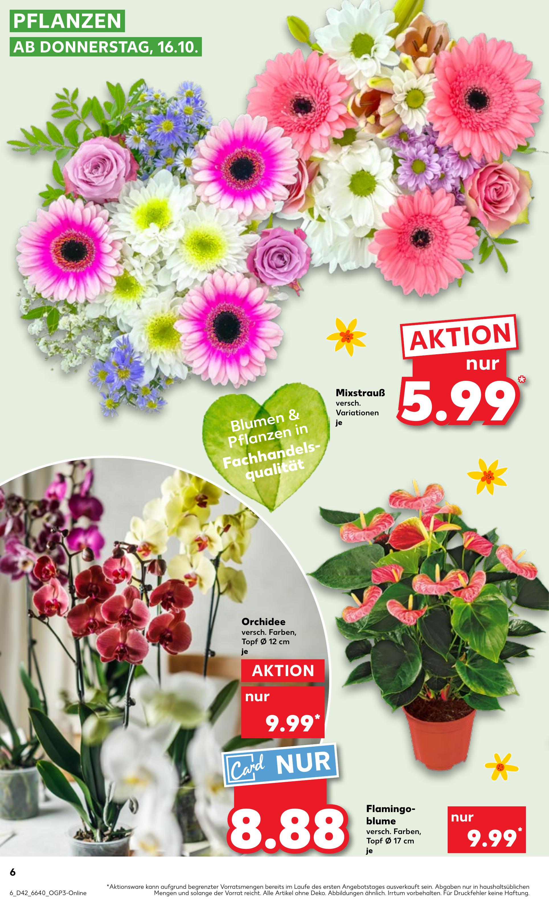 Prospekt Kaufland 16.10.2025 - 22.10.2025