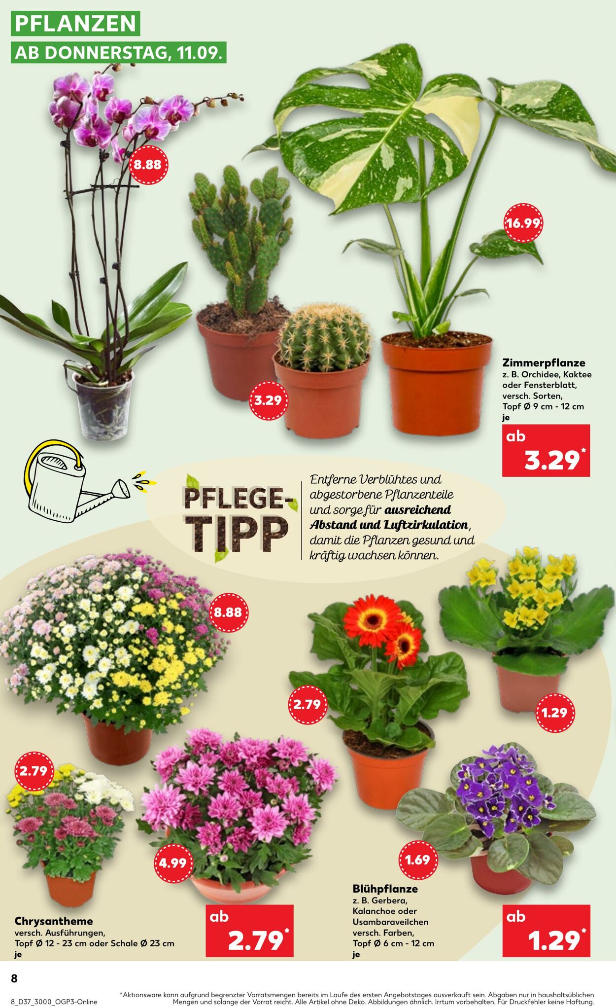 Prospekt Kaufland 14.09.2025 - 17.09.2025