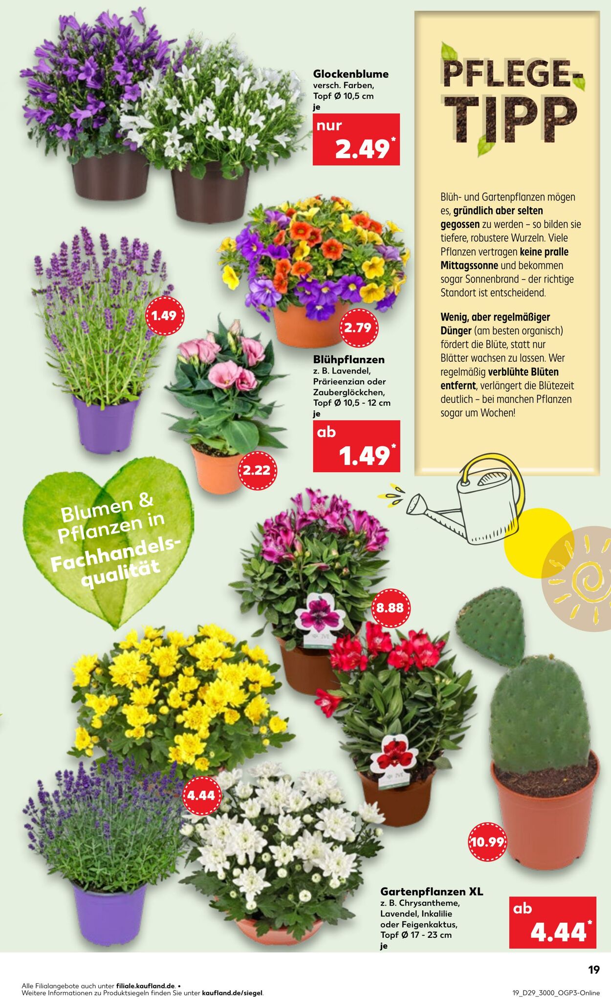 Prospekt Kaufland 17.07.2025 - 23.07.2025