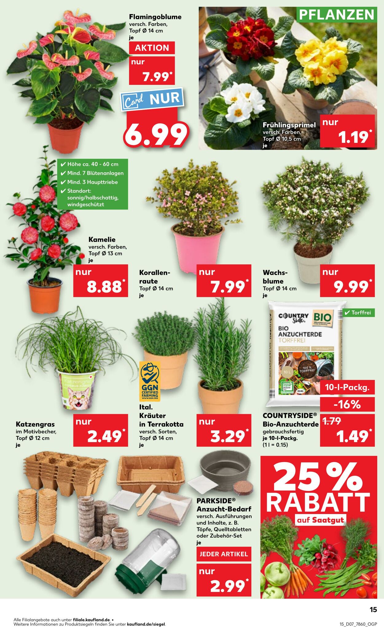 Prospekt Kaufland 13.02.2025 - 19.02.2025