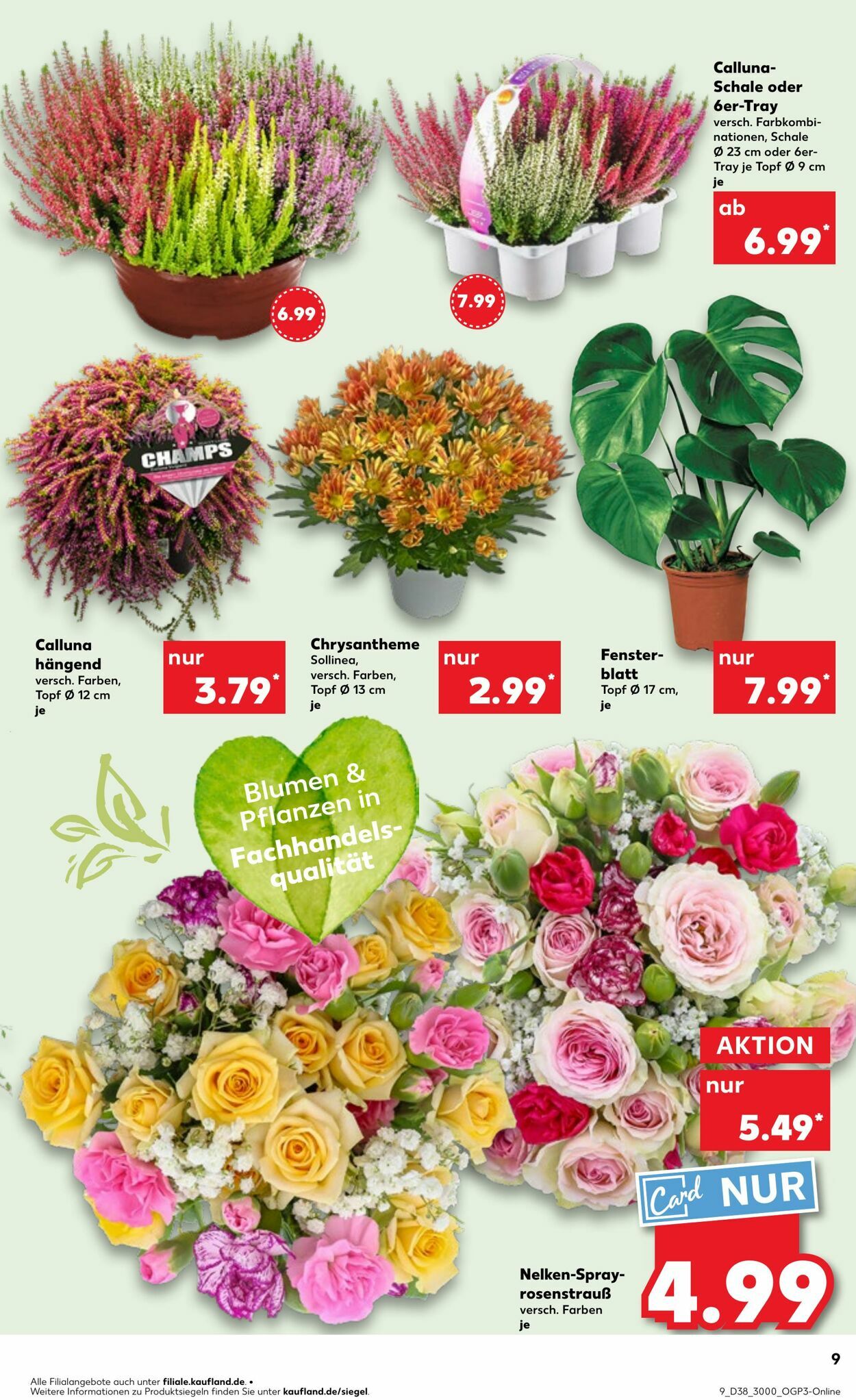 Prospekt Kaufland 21.09.2025 - 24.09.2025