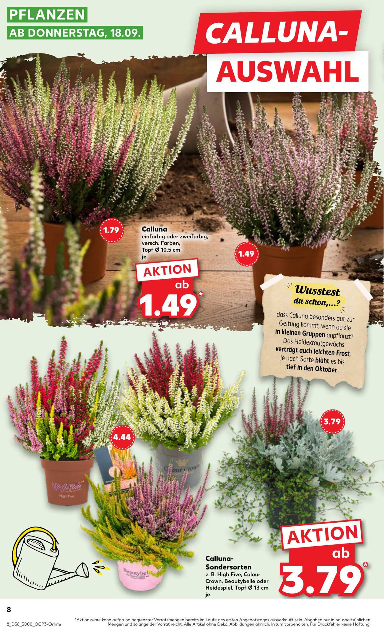 Prospekt Kaufland 21.09.2025 - 24.09.2025