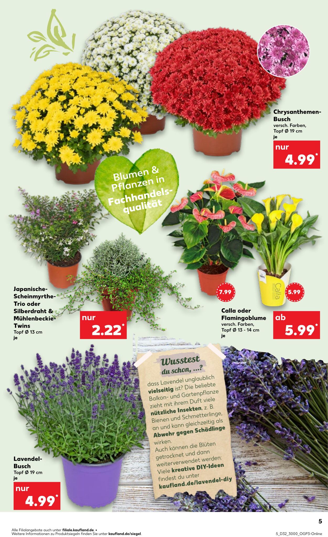 Prospekt Kaufland 07.08.2025 - 13.08.2025