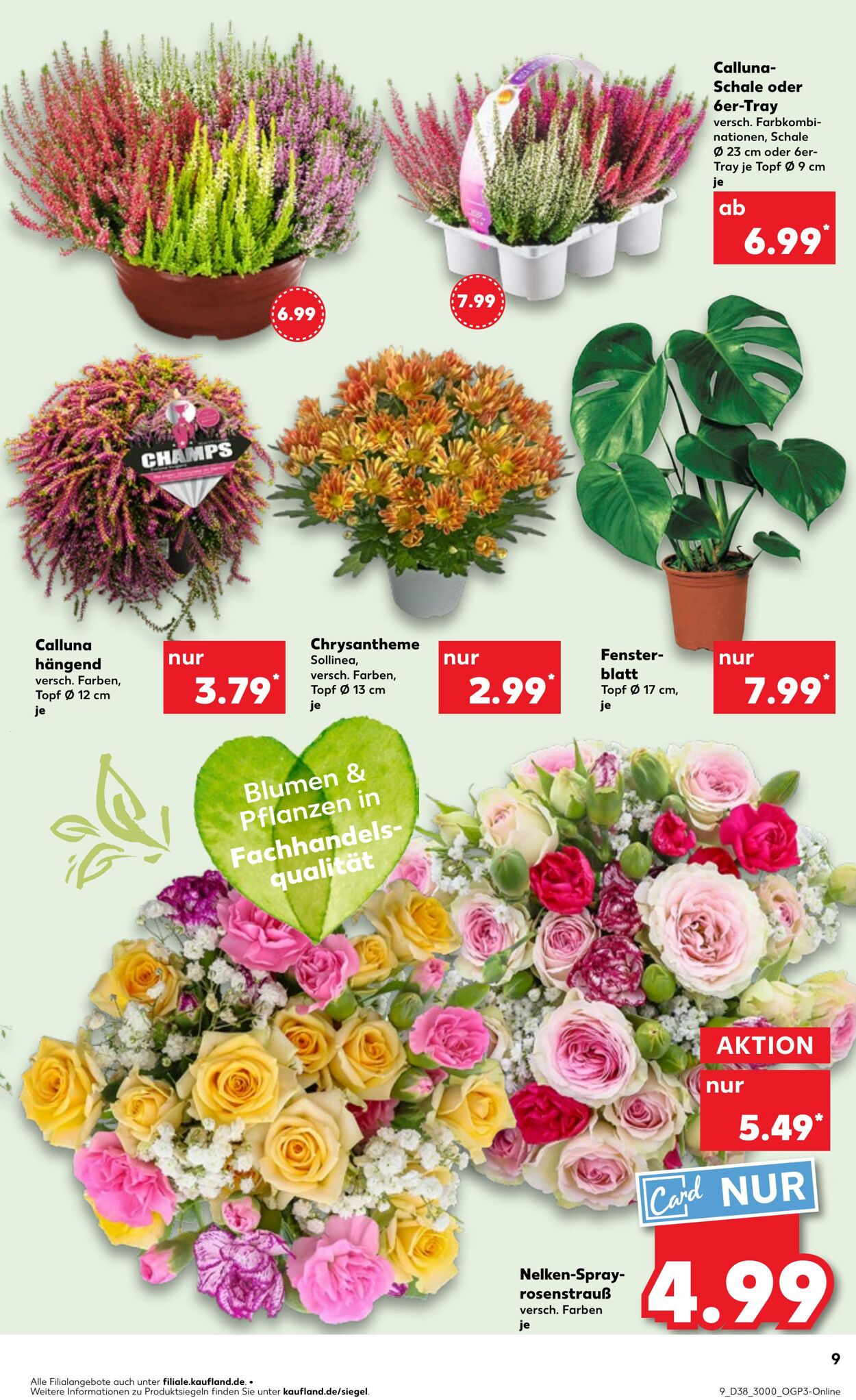 Prospekt Kaufland 21.09.2025 - 24.09.2025