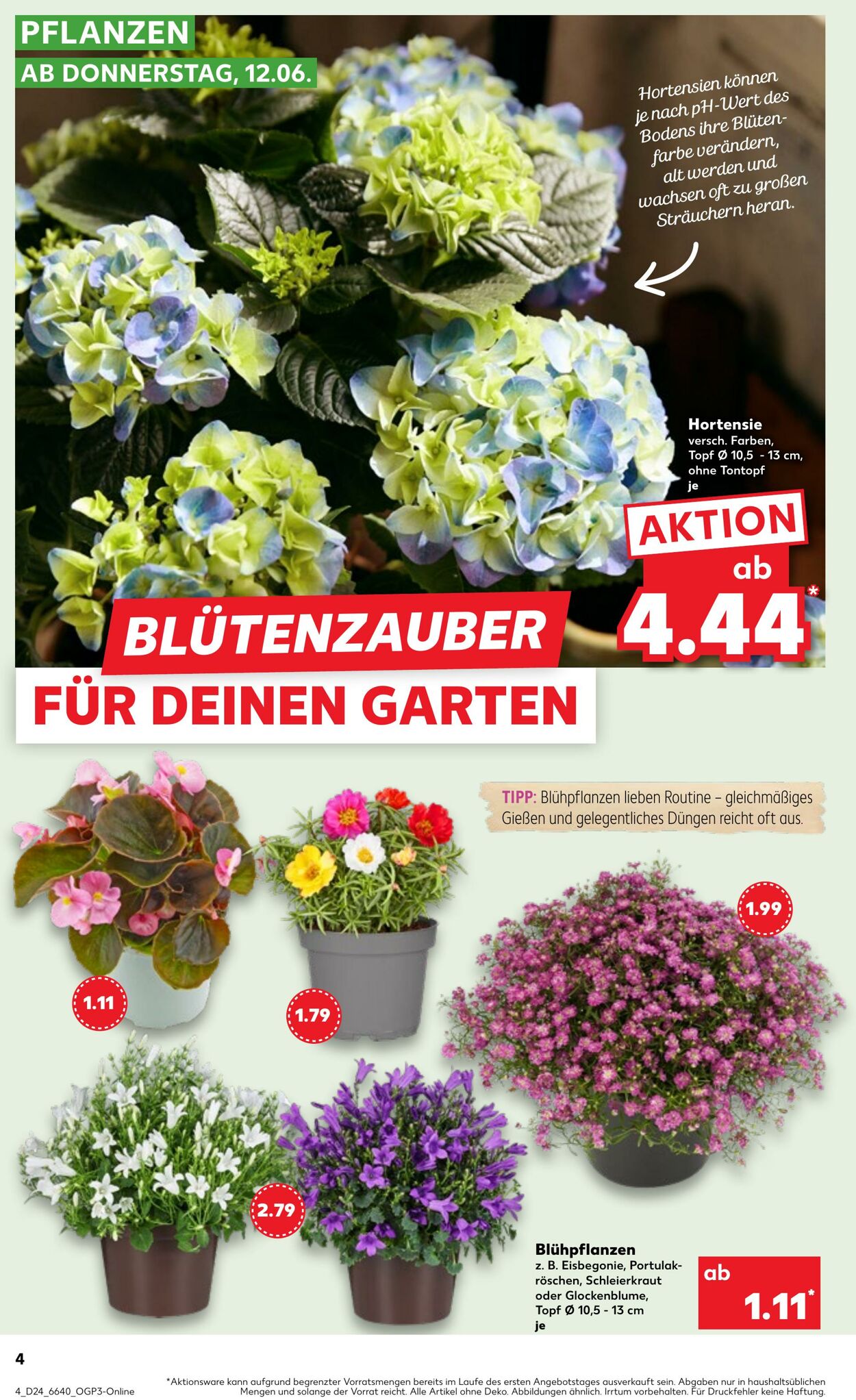 Prospekt Kaufland 12.06.2025 - 18.06.2025