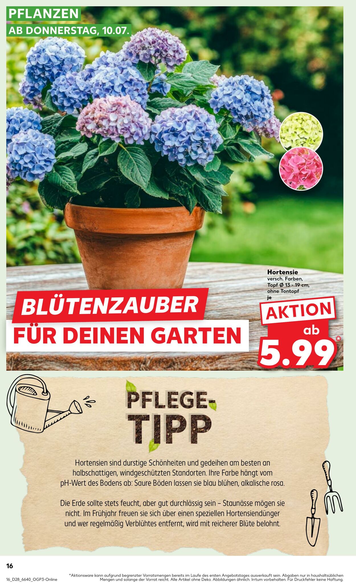 Prospekt Kaufland 10.07.2025 - 16.07.2025