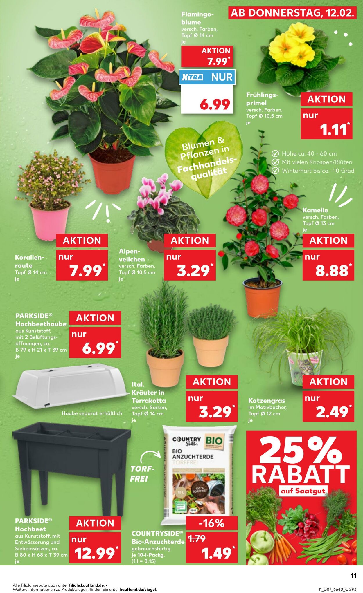 Prospekt Kaufland 15.02.2026 - 18.02.2026