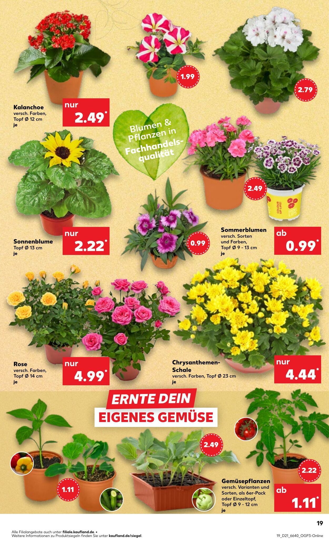 Prospekt Kaufland 22.05.2025 - 28.05.2025