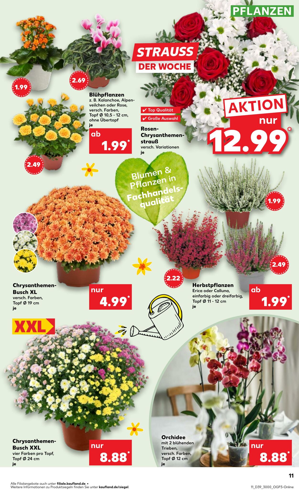 Prospekt Kaufland 28.09.2025 - 01.10.2025