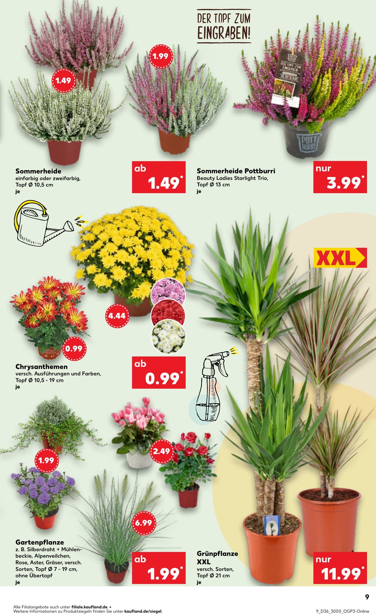 Prospekt Kaufland 07.09.2025 - 10.09.2025