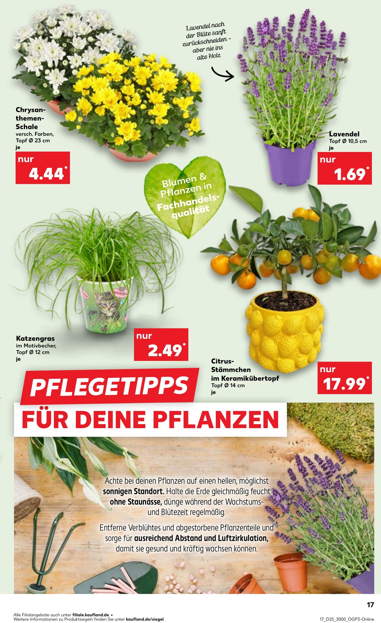 Prospekt Kaufland 19.06.2025 - 25.06.2025