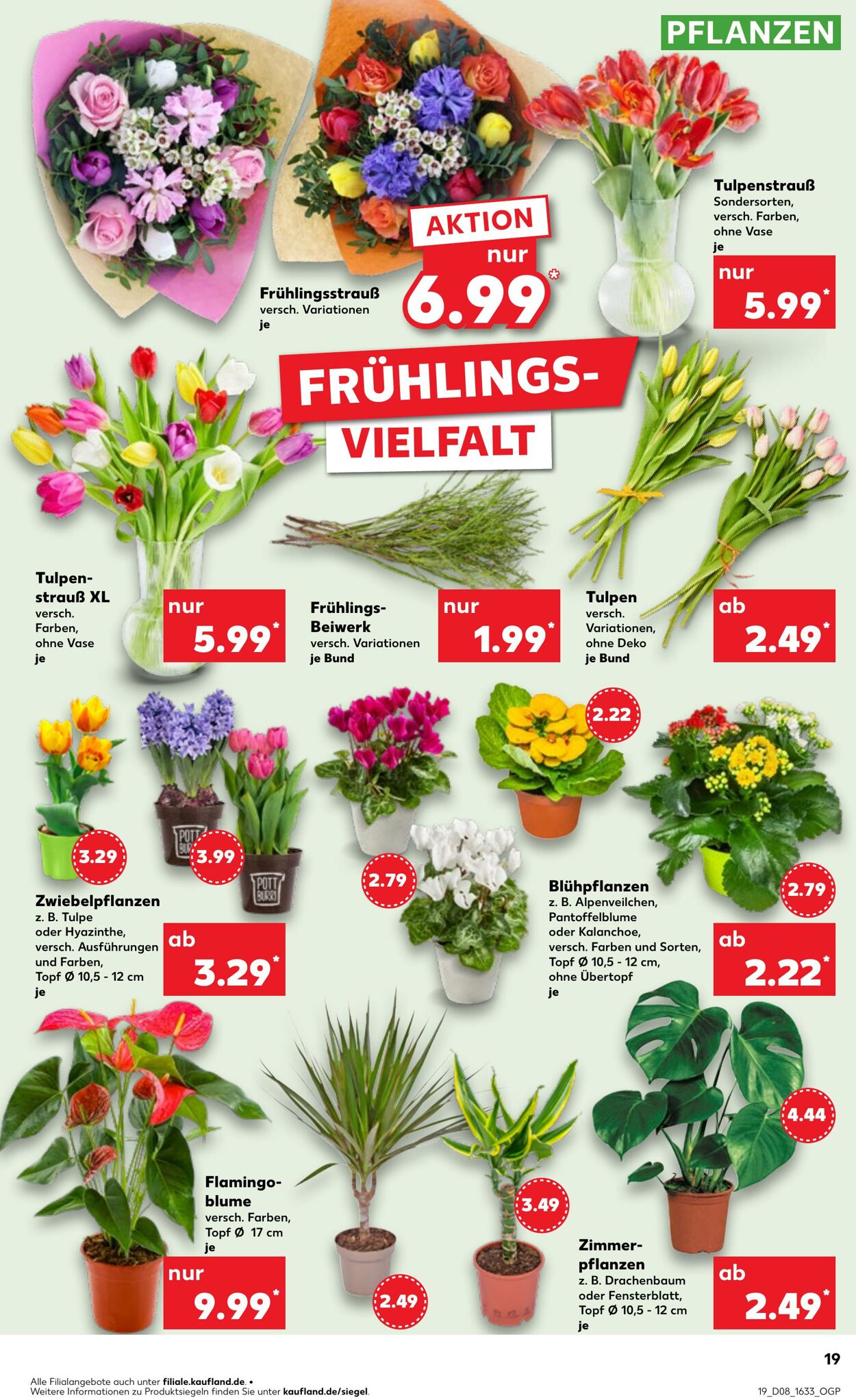 Prospekt Kaufland 20.02.2025 - 26.02.2025