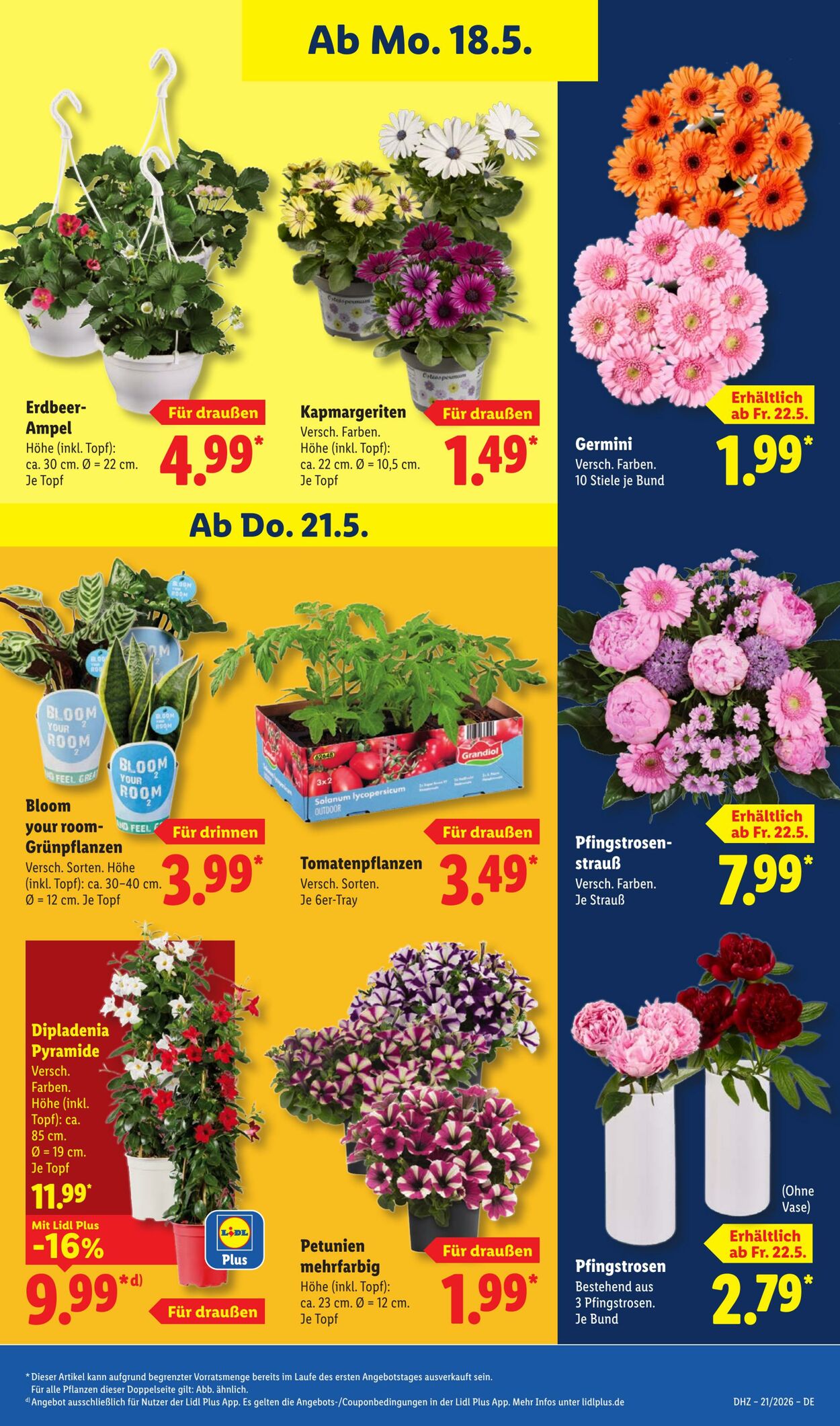Prospekt Lidl 18.05.2026 - 23.05.2026