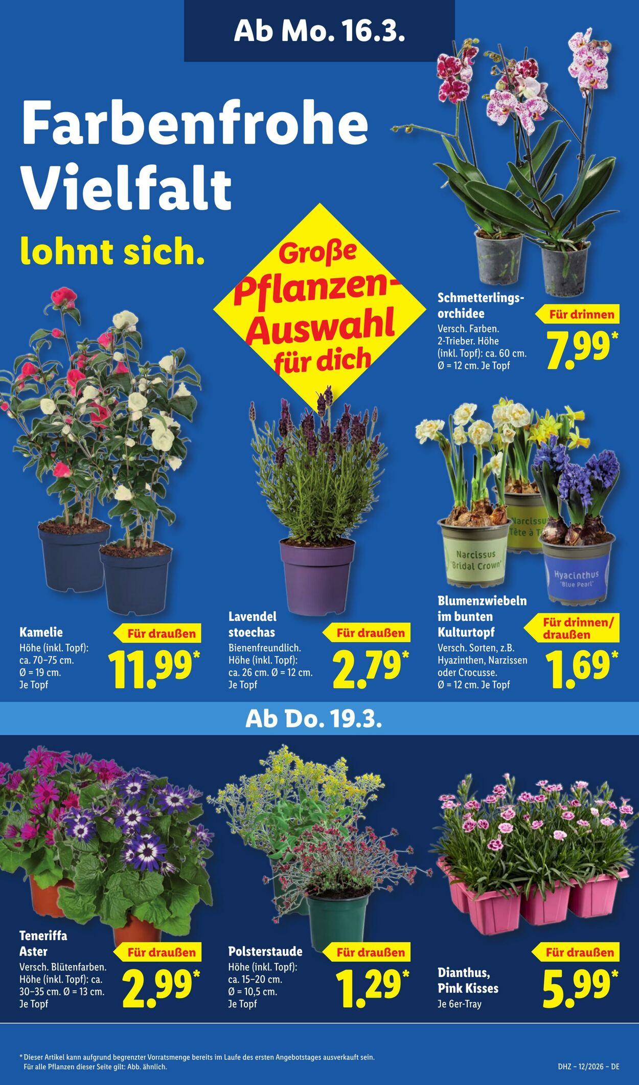 Prospekt Lidl 16.03.2026 - 21.03.2026