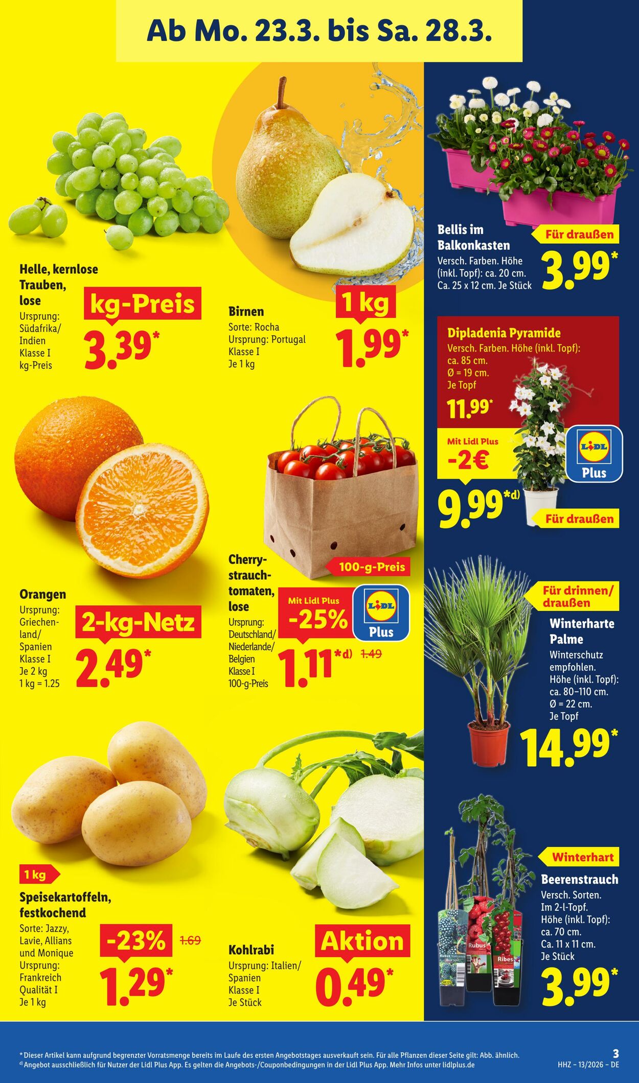 Prospekt Lidl 23.03.2026 - 28.03.2026