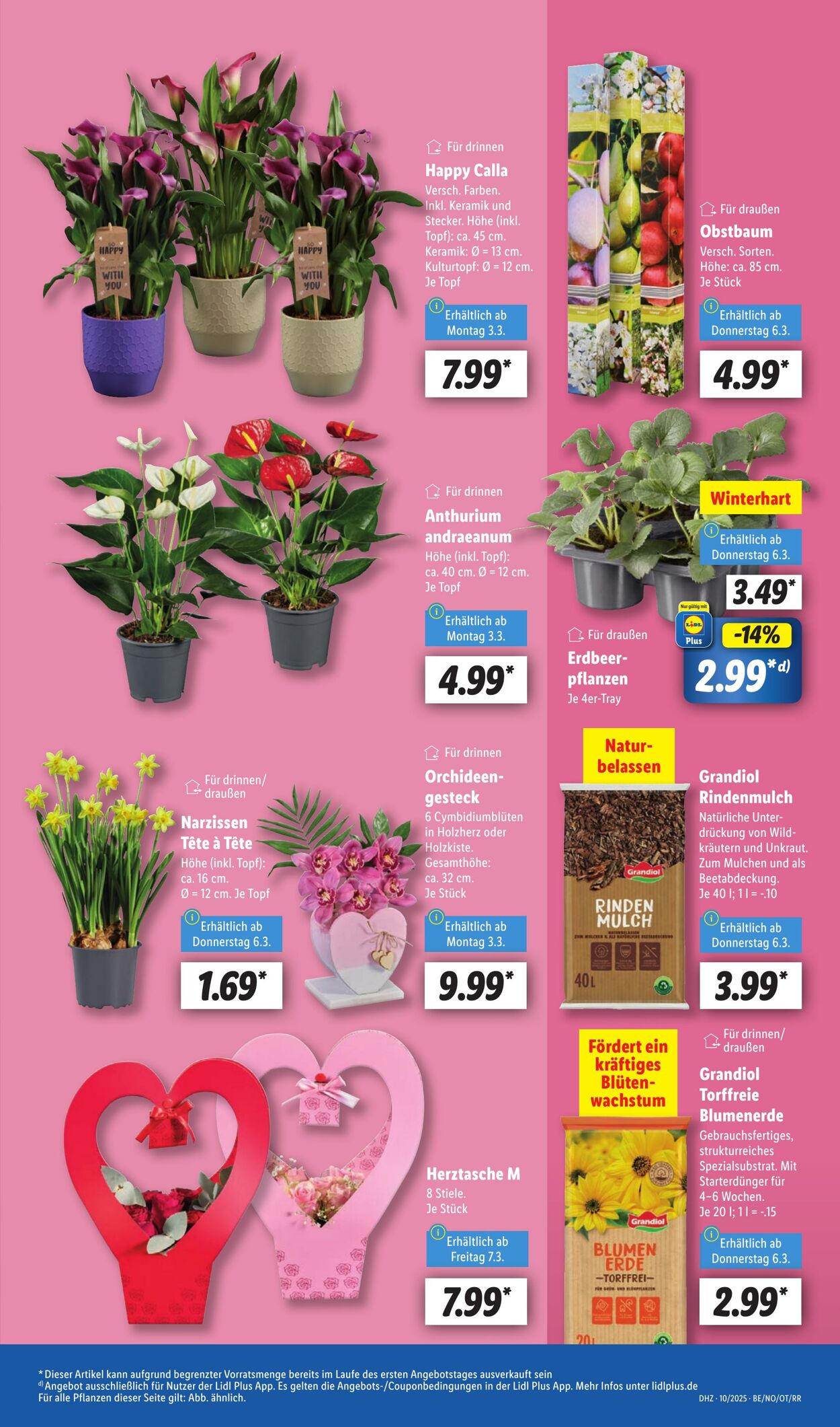 Prospekt Lidl 03.03.2025 - 08.03.2025