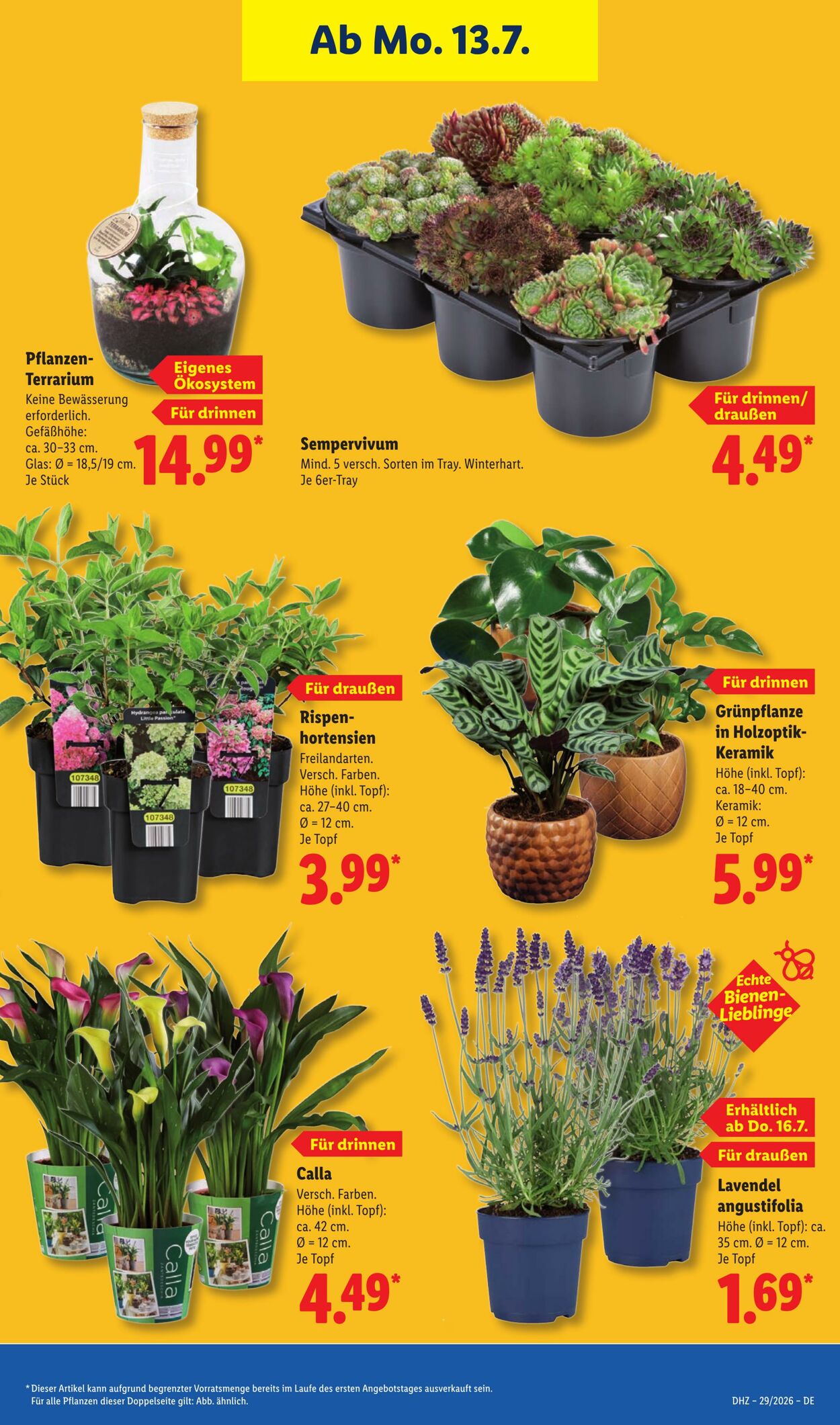 Prospekt Lidl 13.07.2026 - 18.07.2026