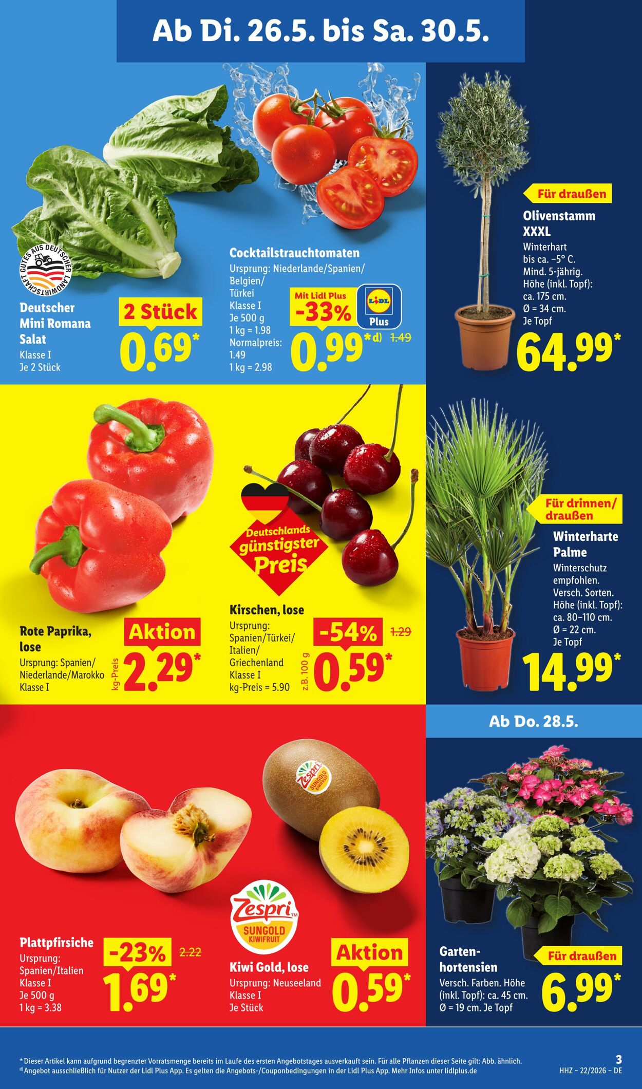 Prospekt Lidl 26.05.2026 - 30.05.2026