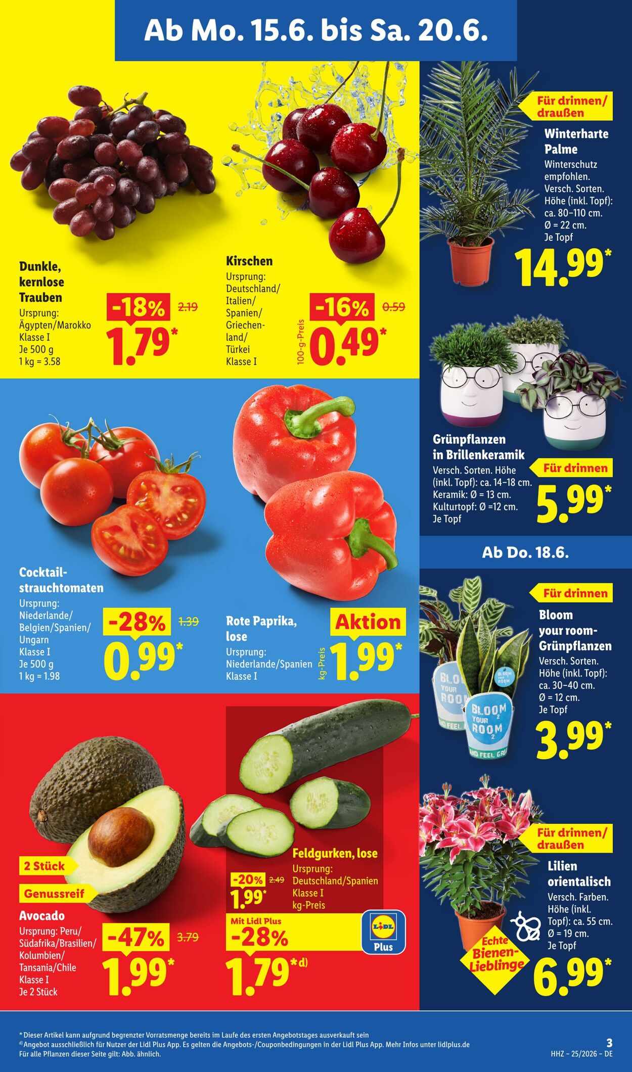 Prospekt Lidl 15.06.2026 - 20.06.2026