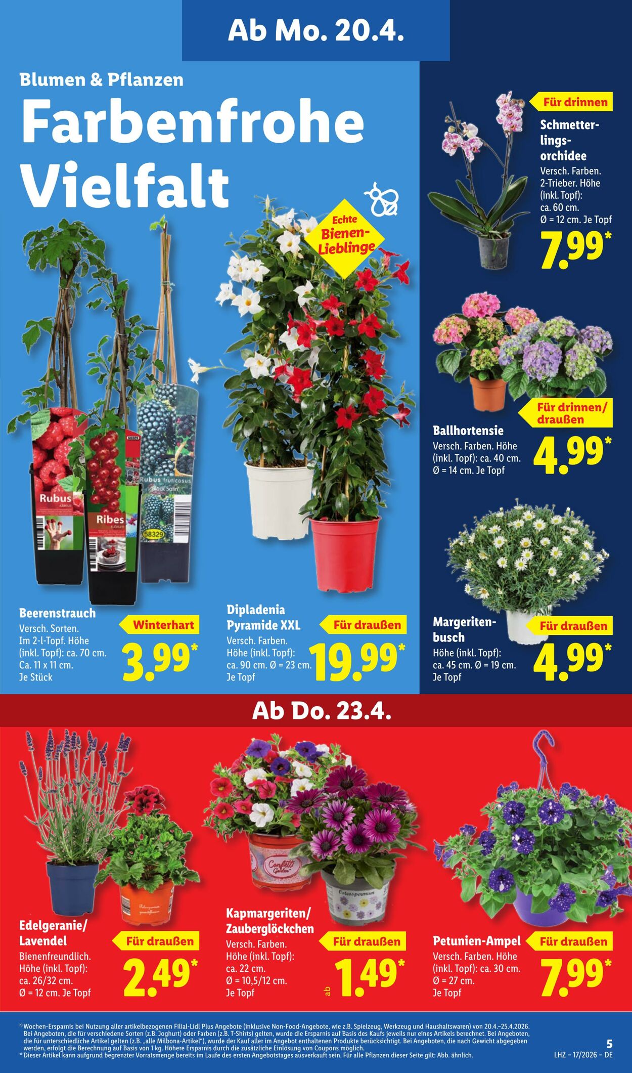 Prospekt Lidl 20.04.2026 - 25.04.2026