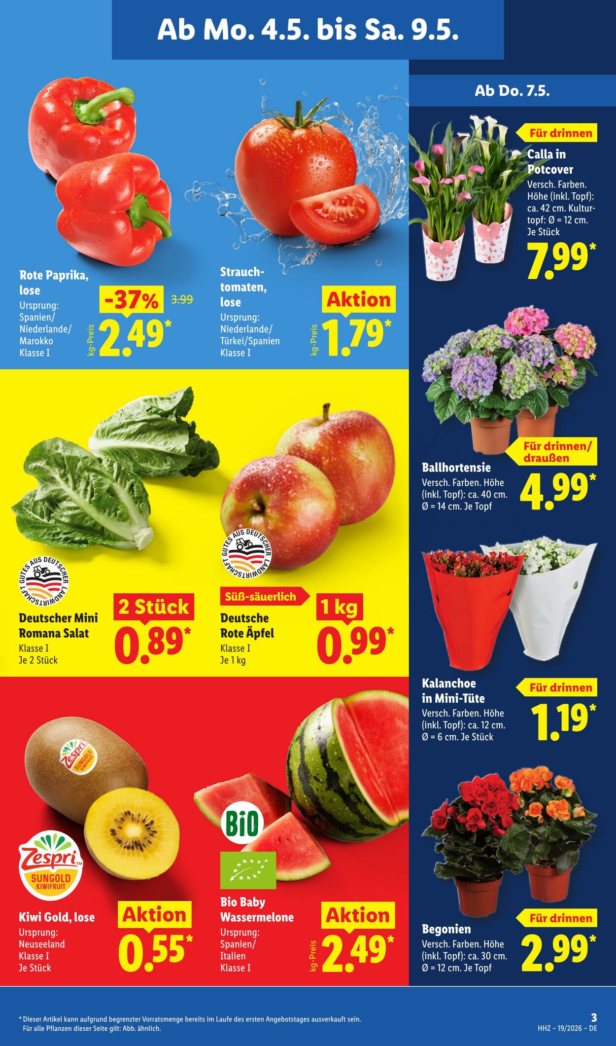 Prospekt Lidl 04.05.2026 - 09.05.2026