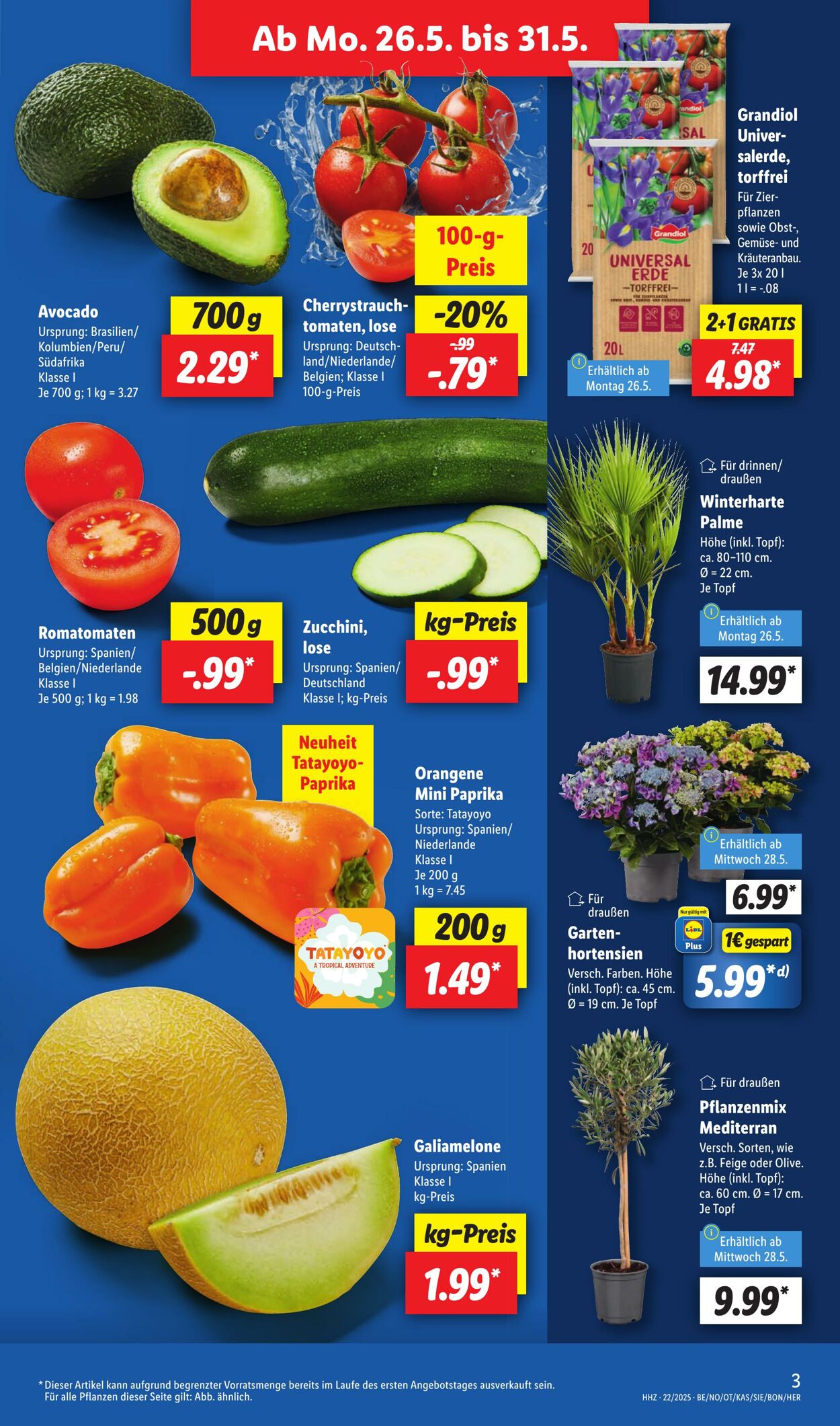 Prospekt Lidl 26.05.2025 - 31.05.2025