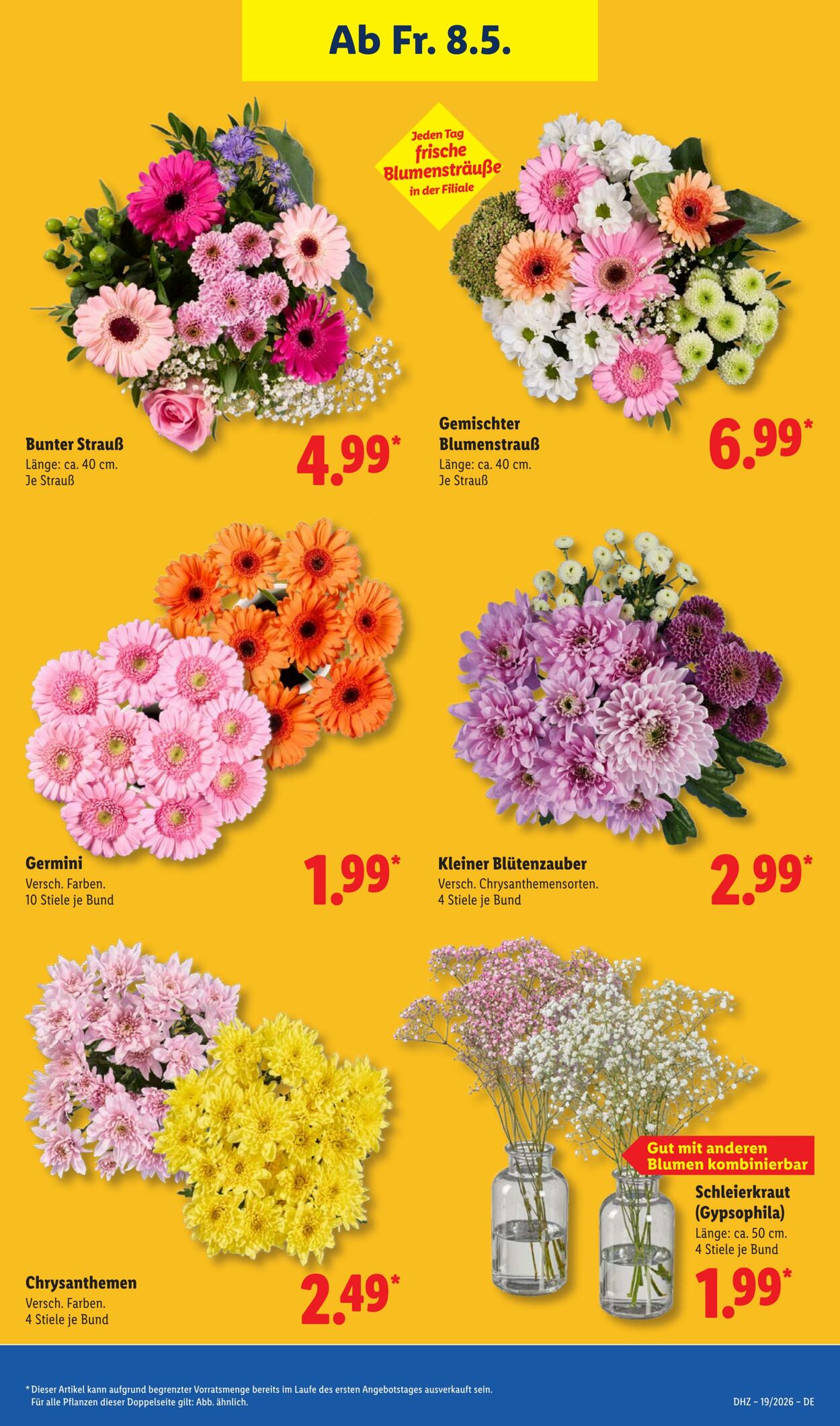 Prospekt Lidl 04.05.2026 - 09.05.2026