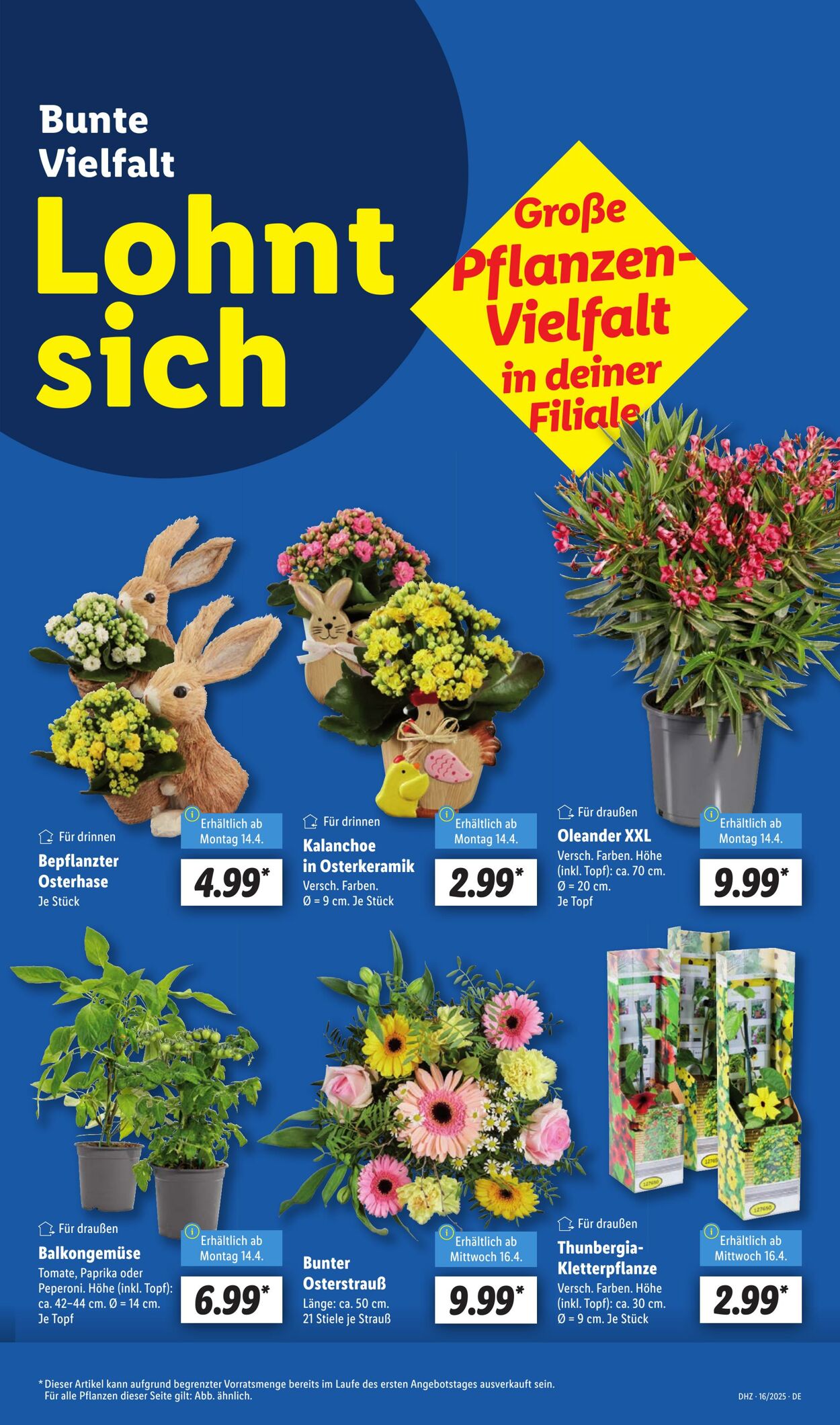 Prospekt Lidl 14.04.2025 - 19.04.2025