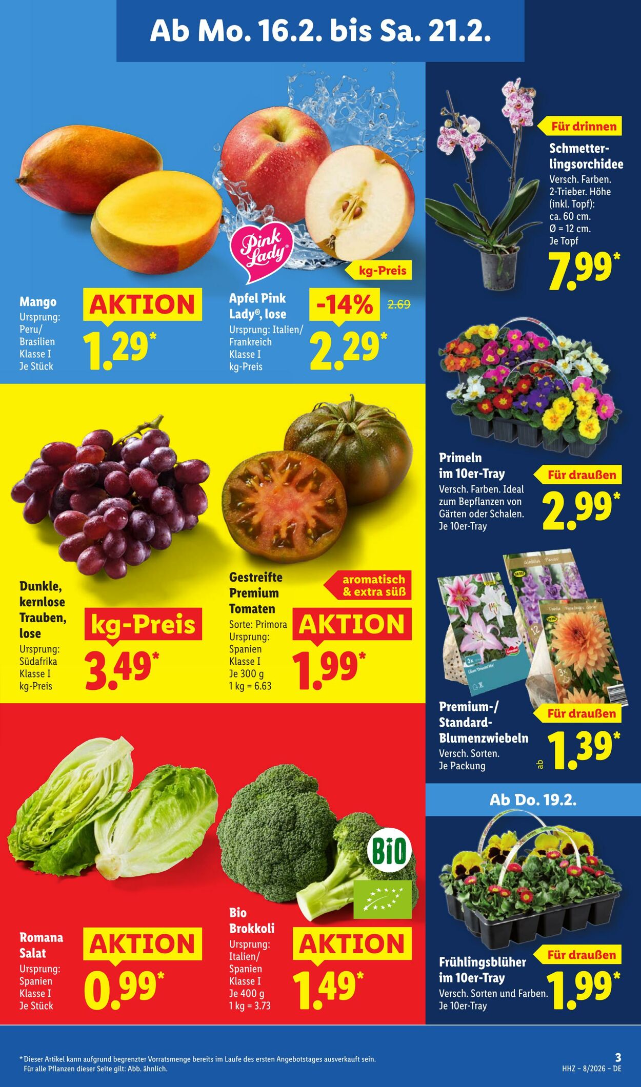 Prospekt Lidl 16.02.2026 - 21.02.2026
