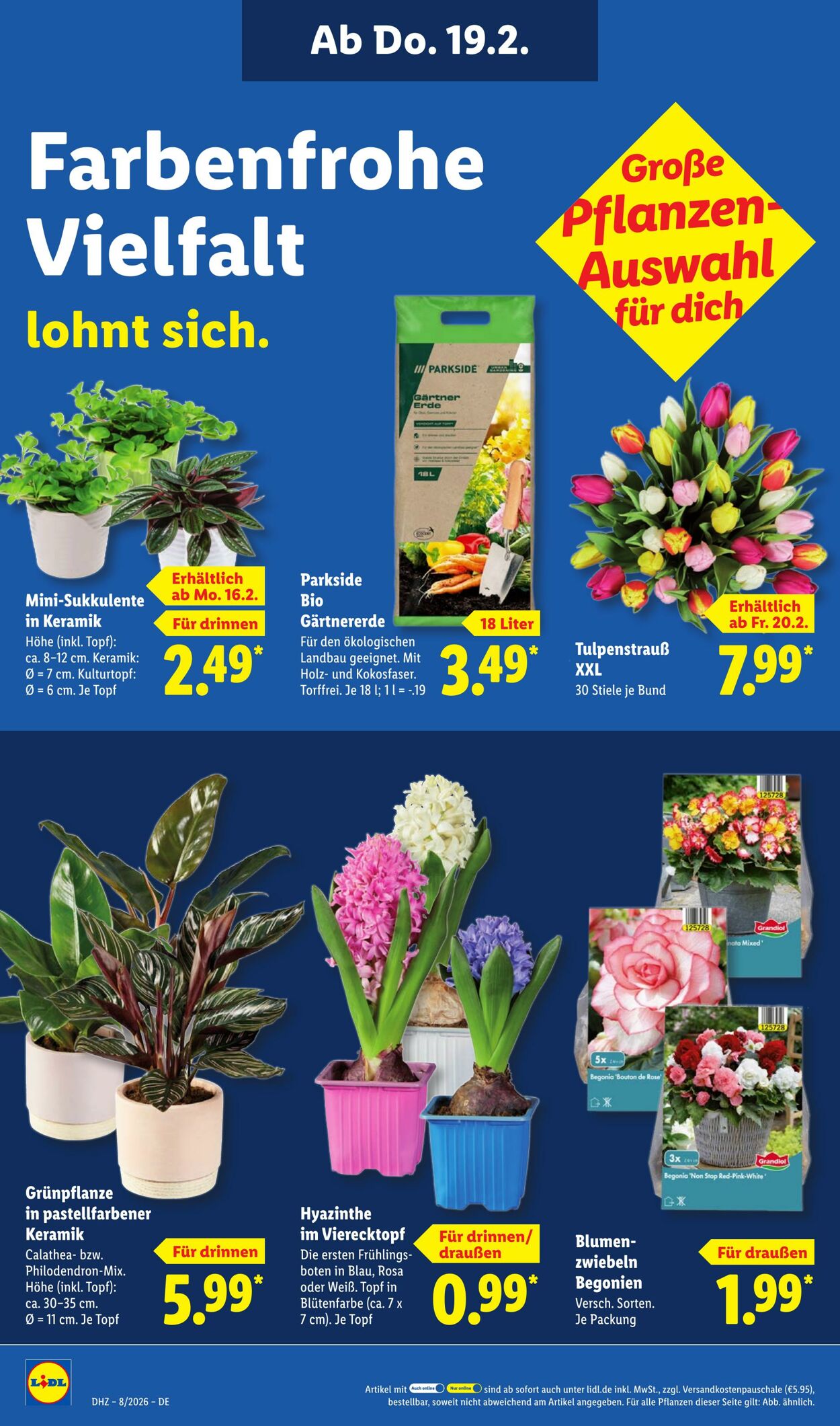 Prospekt Lidl 16.02.2026 - 21.02.2026