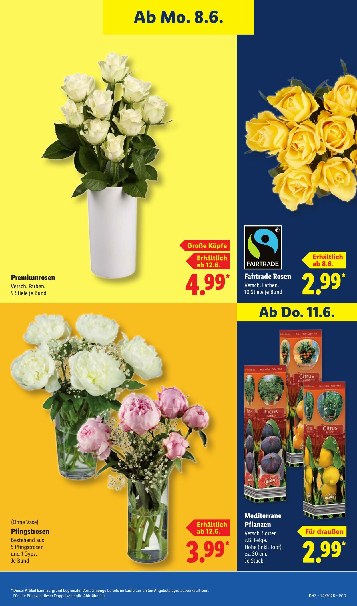 Prospekt Lidl 08.06.2026 - 13.06.2026