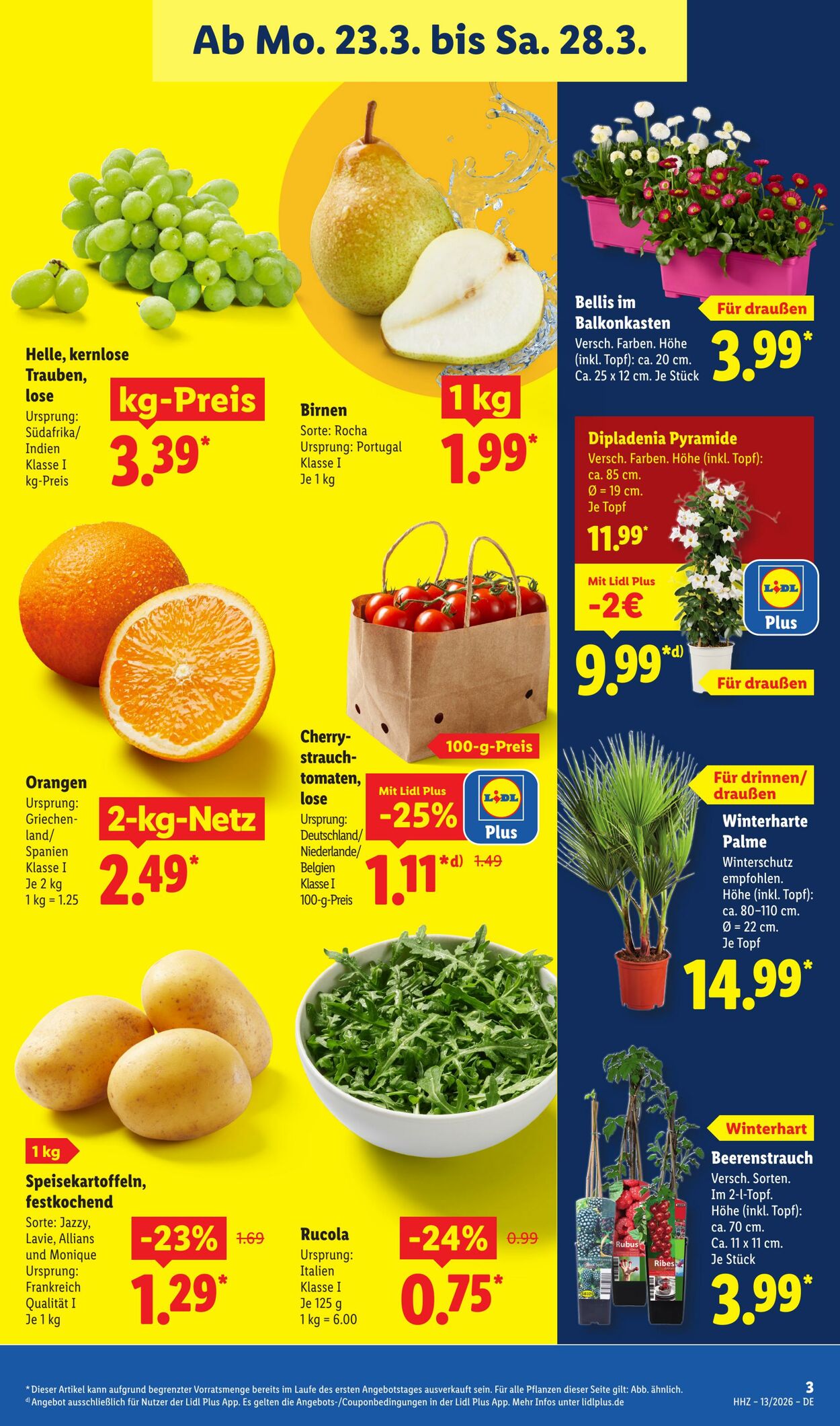 Prospekt Lidl 23.03.2026 - 28.03.2026