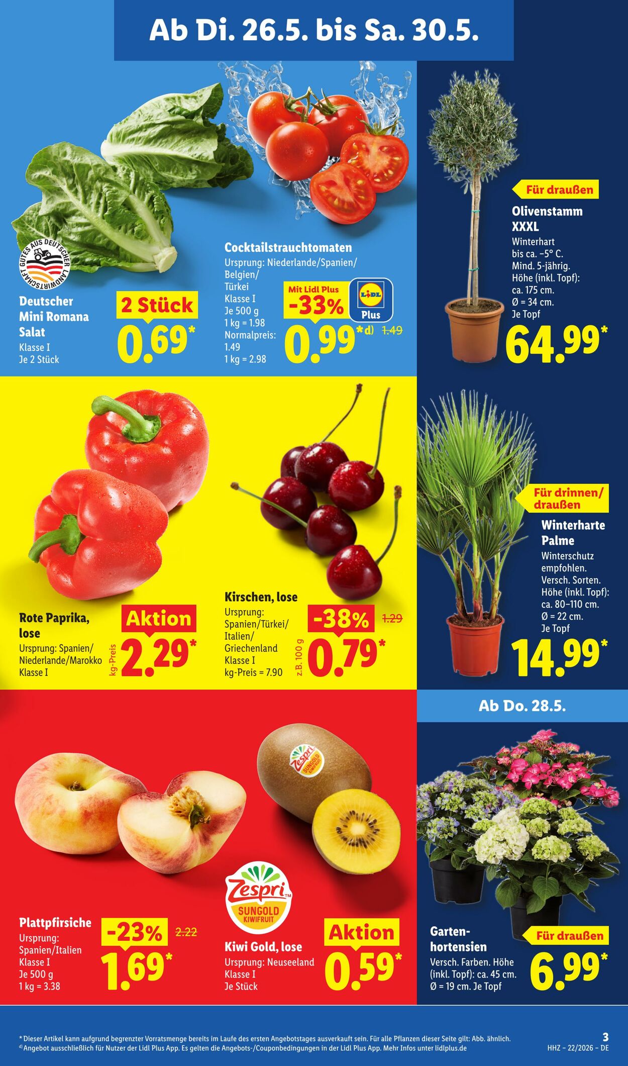 Prospekt Lidl 26.05.2026 - 30.05.2026
