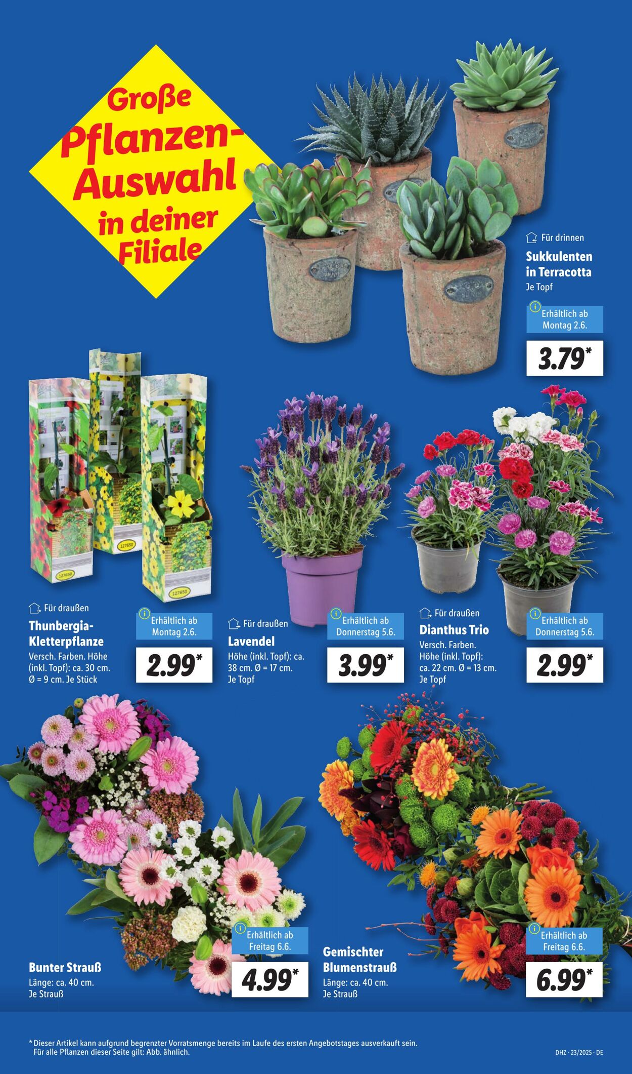 Prospekt Lidl 02.06.2025 - 07.06.2025