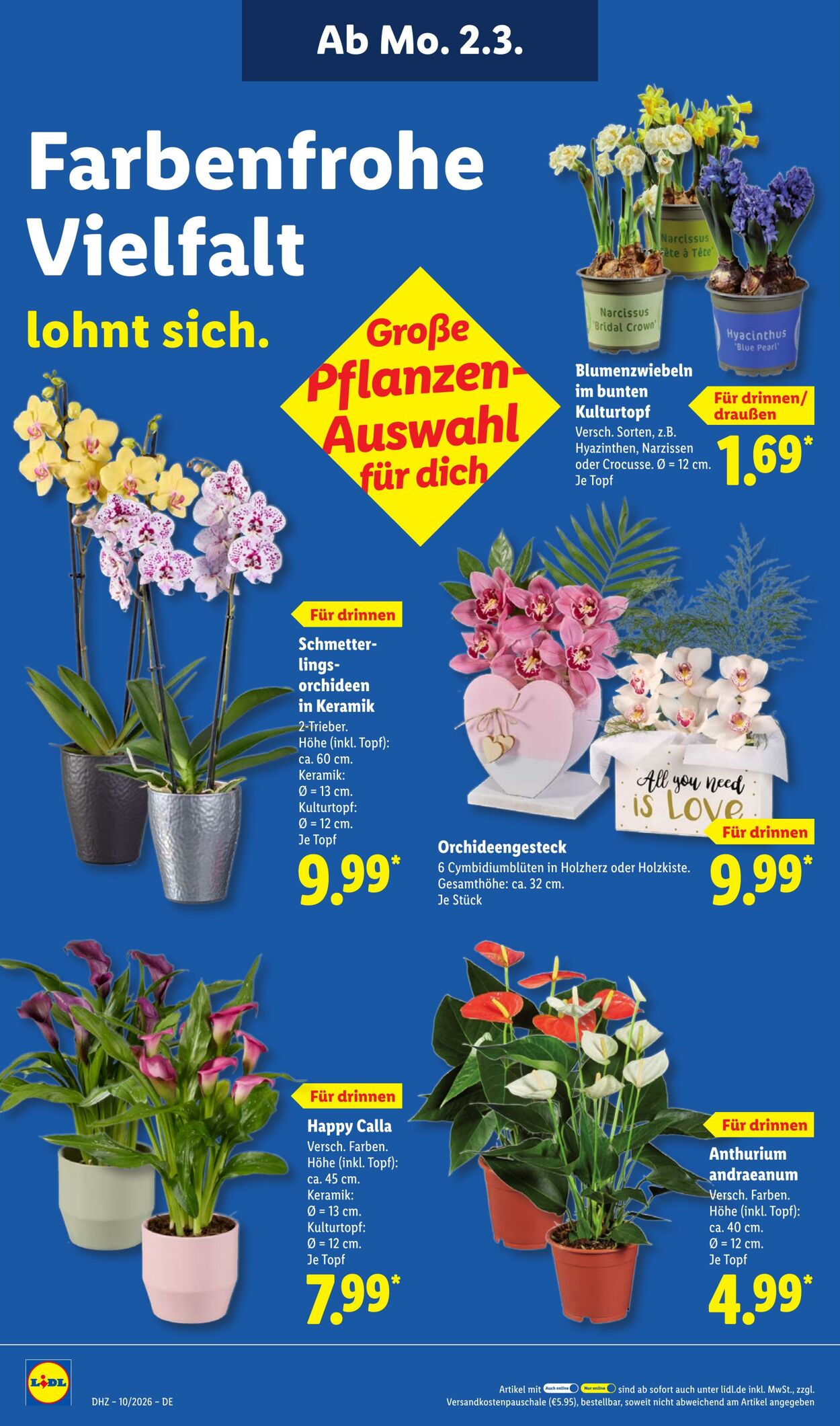 Prospekt Lidl 02.03.2026 - 07.03.2026