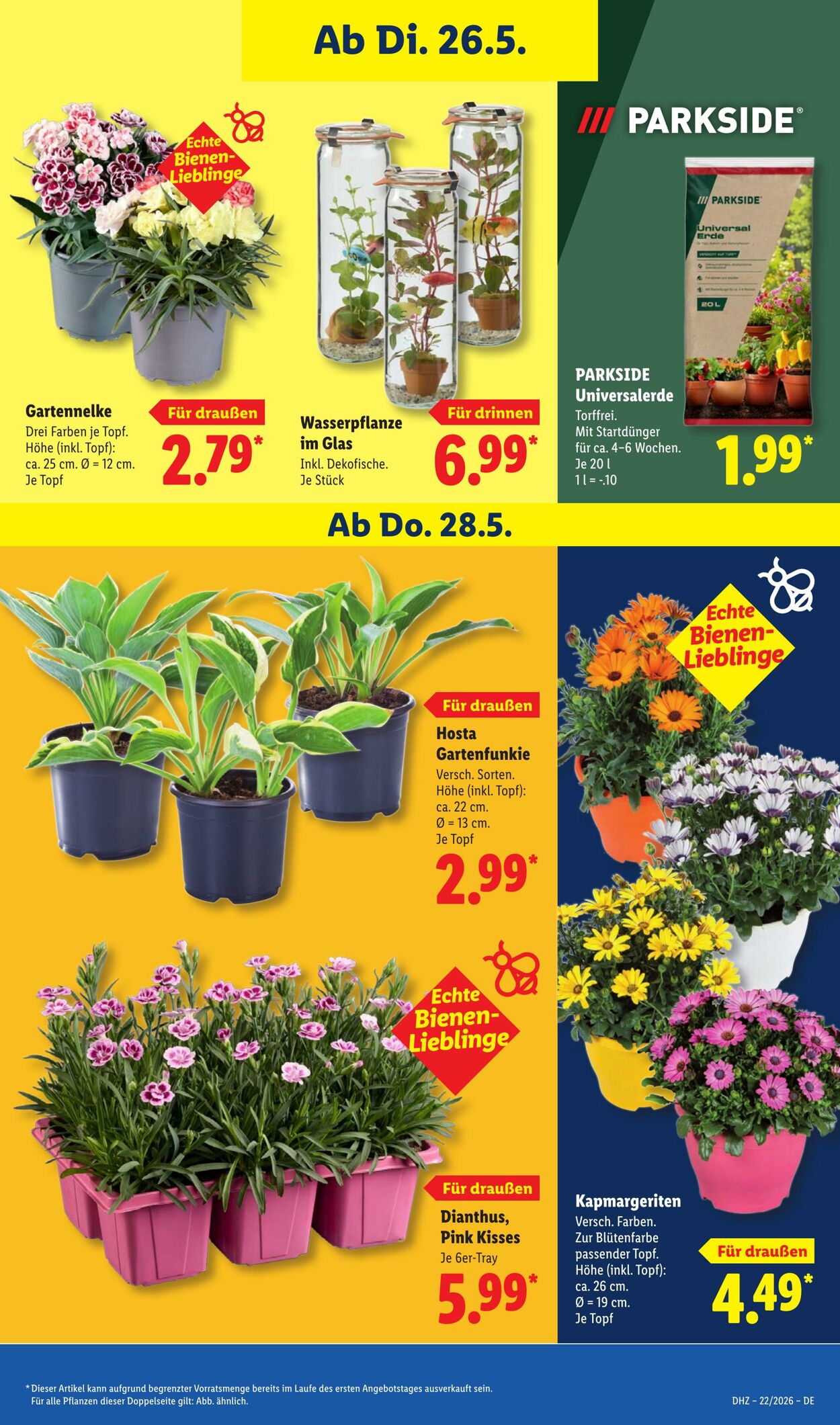 Prospekt Lidl 26.05.2026 - 30.05.2026
