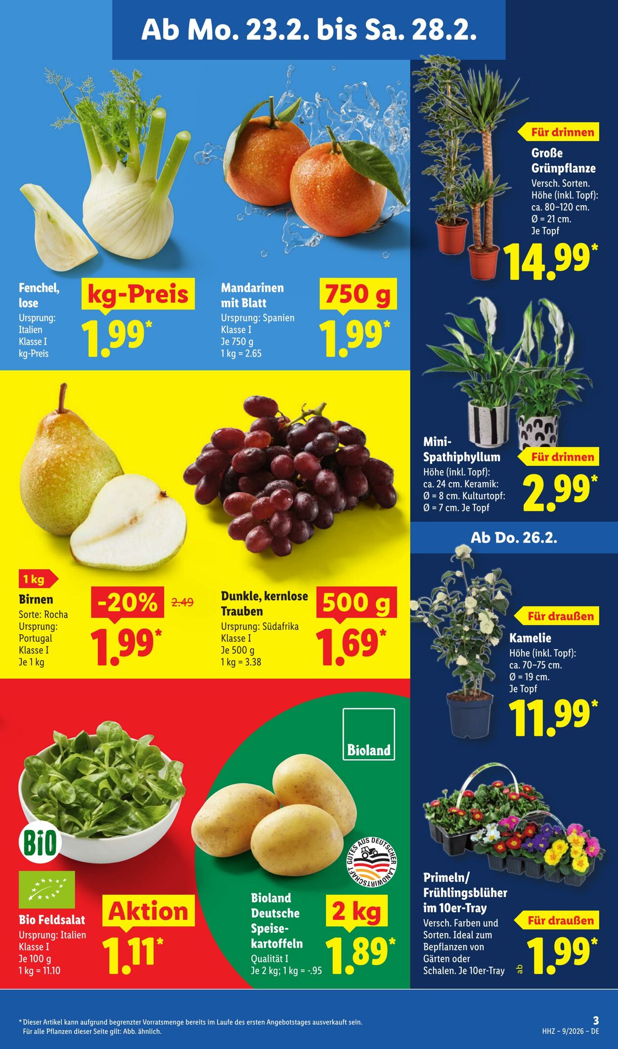 Prospekt Lidl 23.02.2026 - 28.02.2026