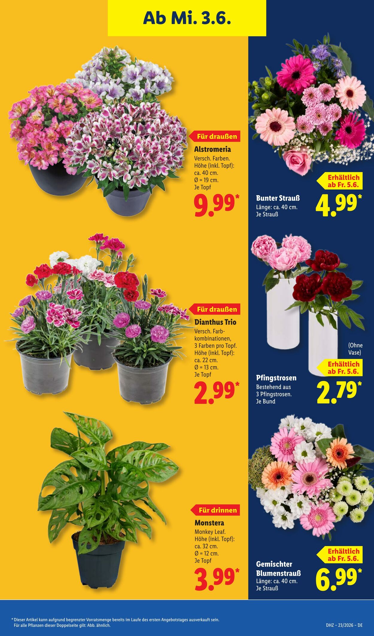 Prospekt Lidl 01.06.2026 - 06.06.2026