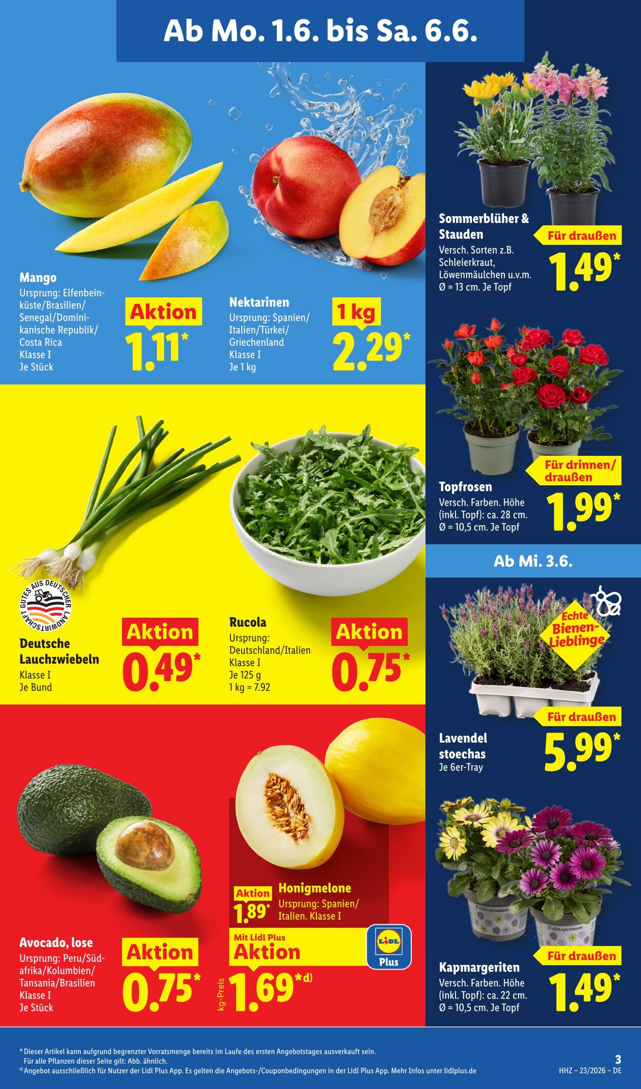 Prospekt Lidl 01.06.2026 - 06.06.2026