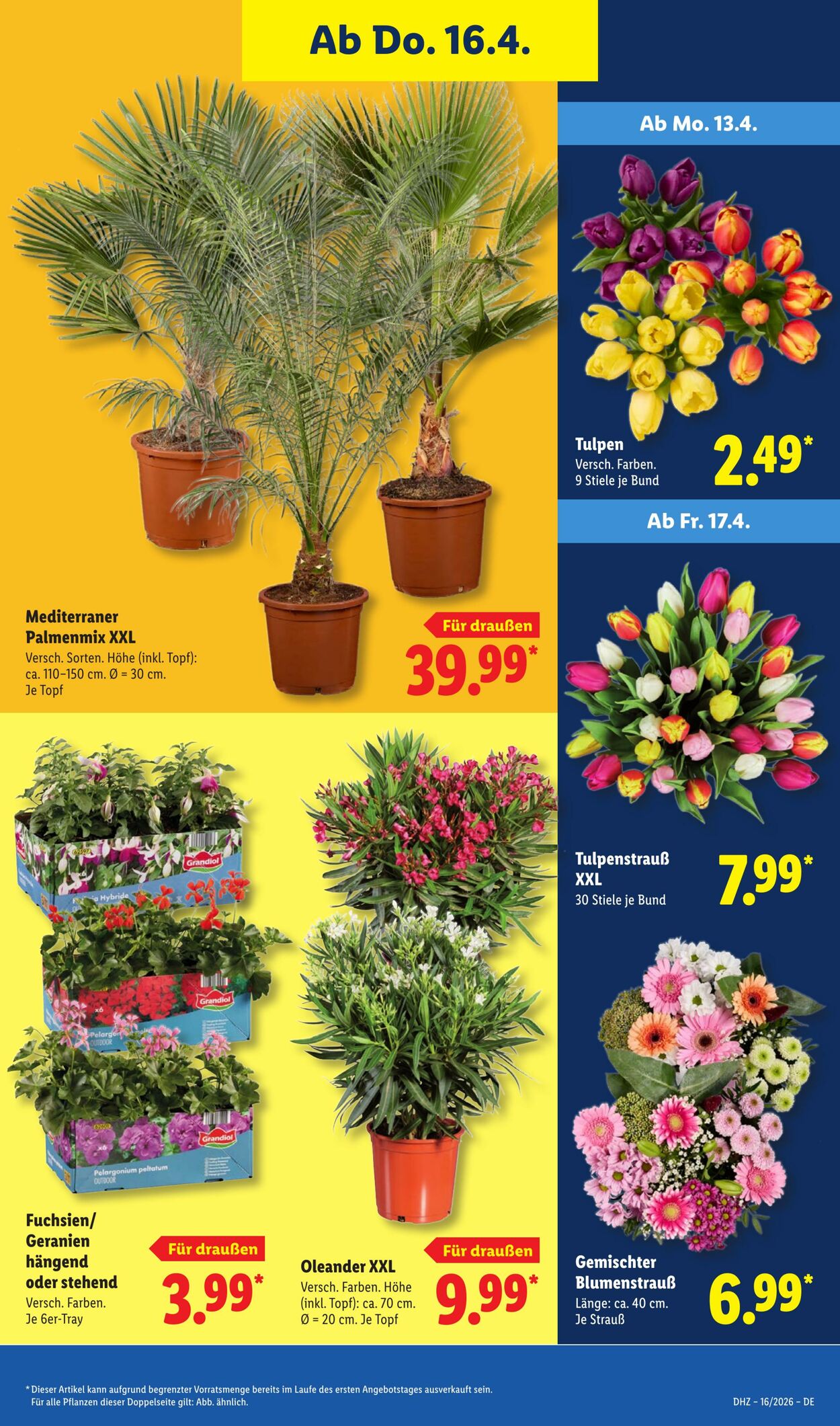 Prospekt Lidl 13.04.2026 - 18.04.2026