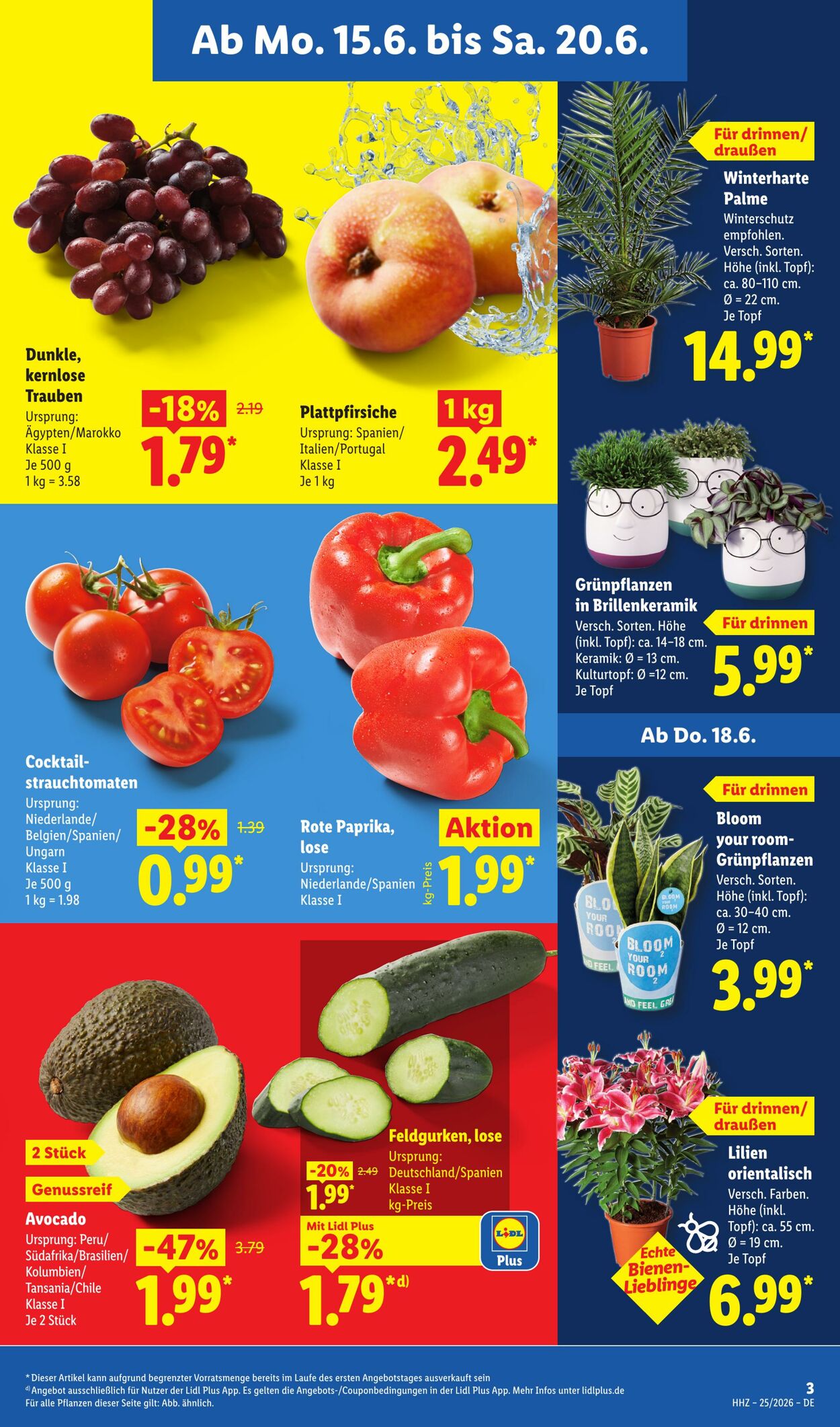Prospekt Lidl 15.06.2026 - 20.06.2026